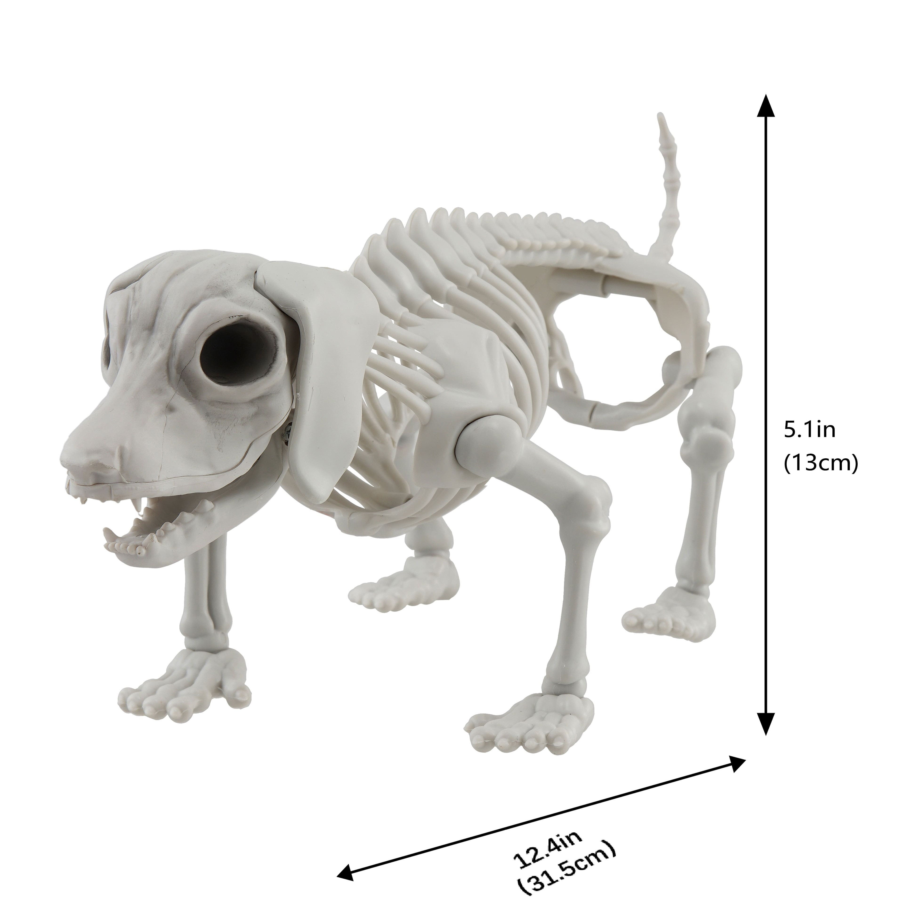 12.5" Dog Skeleton by Ashland®