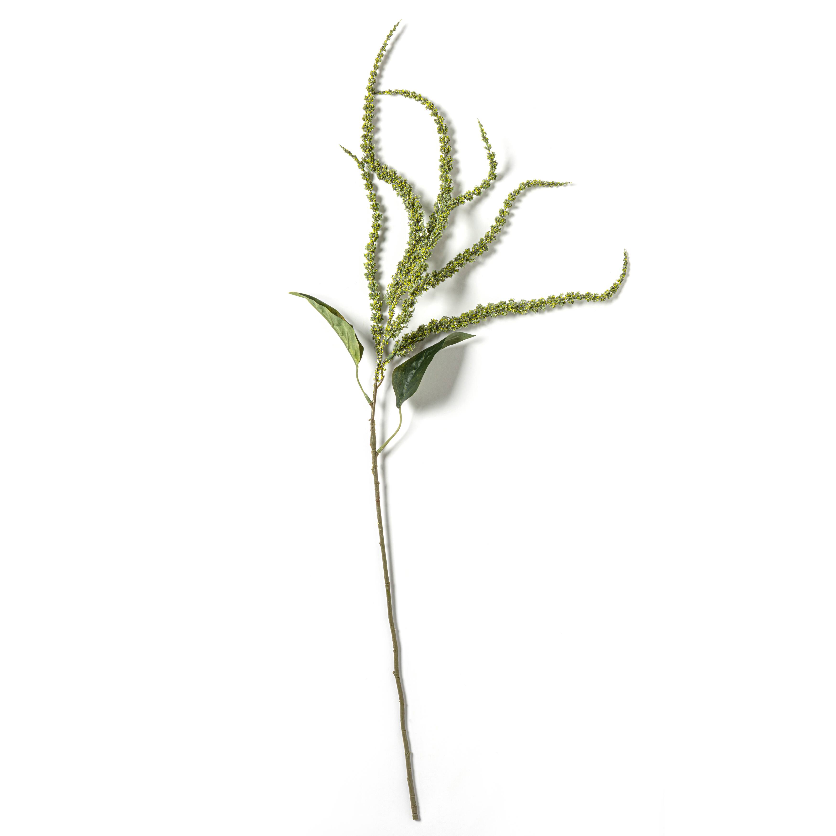 Green Amaranthus Stem by Ashland | 39 | Michaels