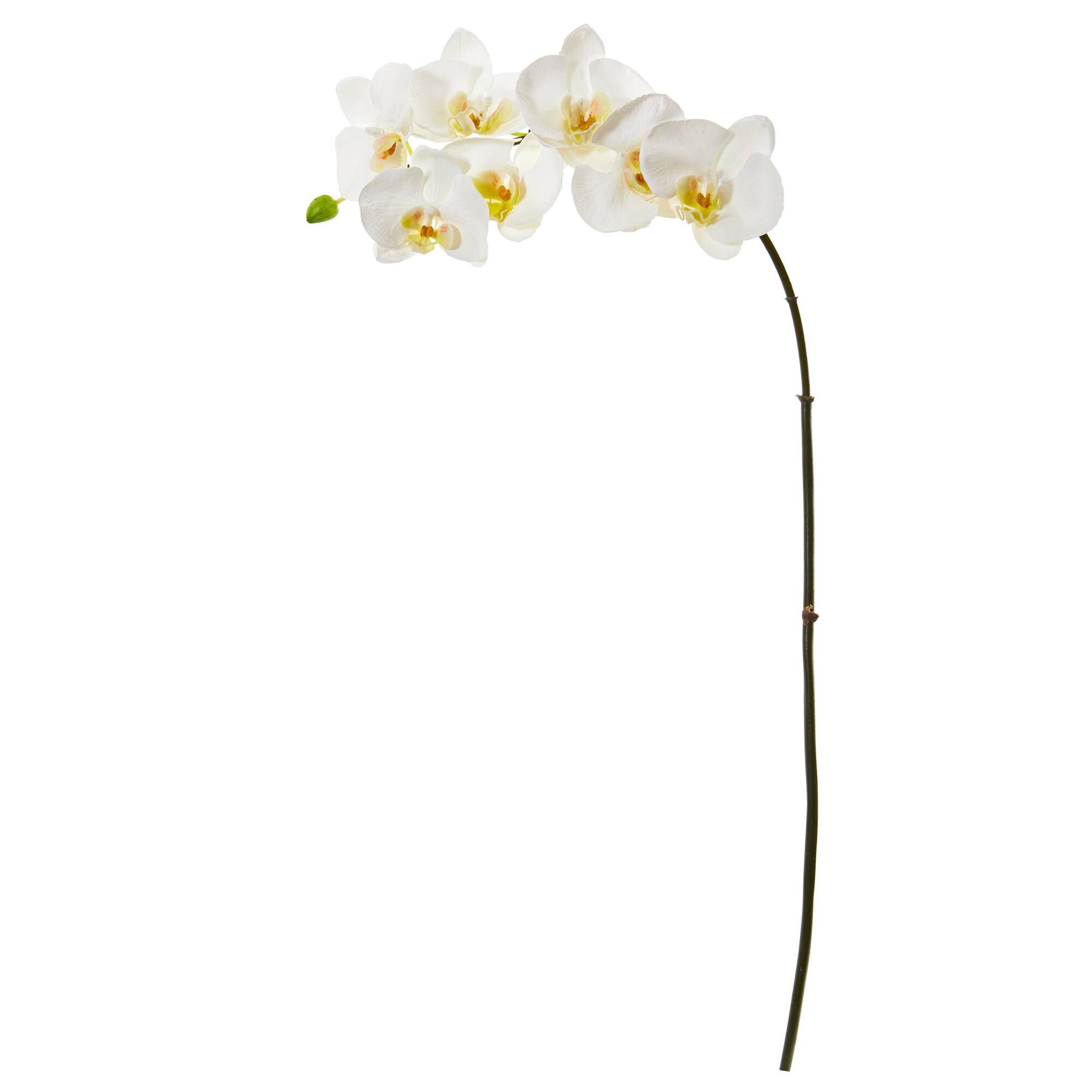 32" Phalaenopsis Orchid Artificial Flower (Set of 6)