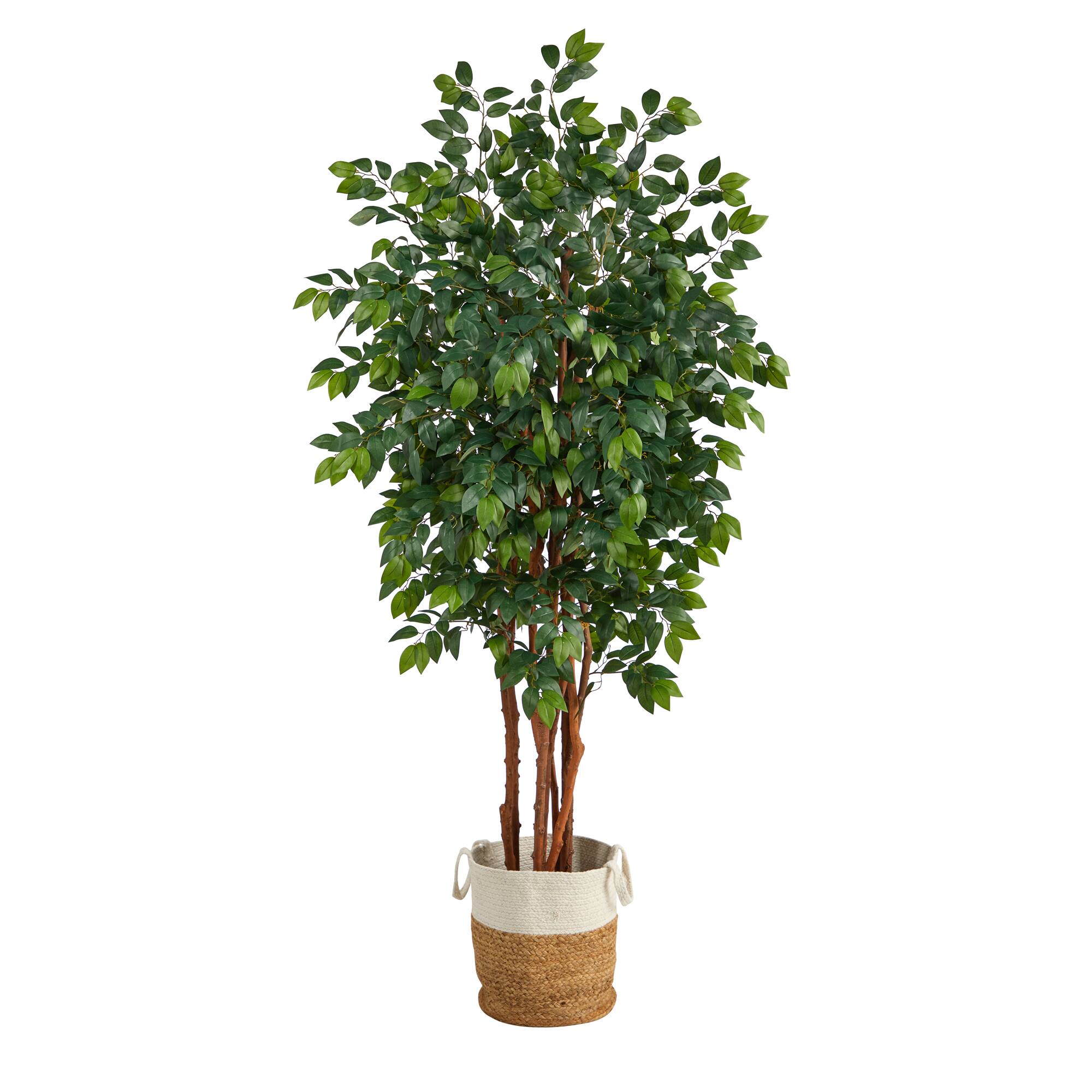 7ft. Sakaki Artificial Tree in Handmade Natural Jute and Cotton Planter