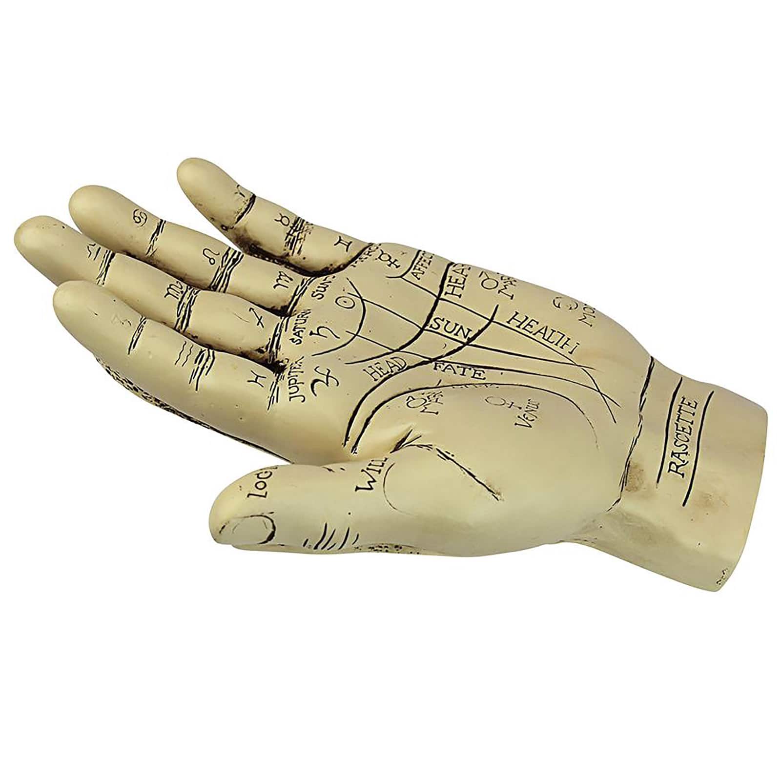Design Toscano The Palmistry Hand Sculpture