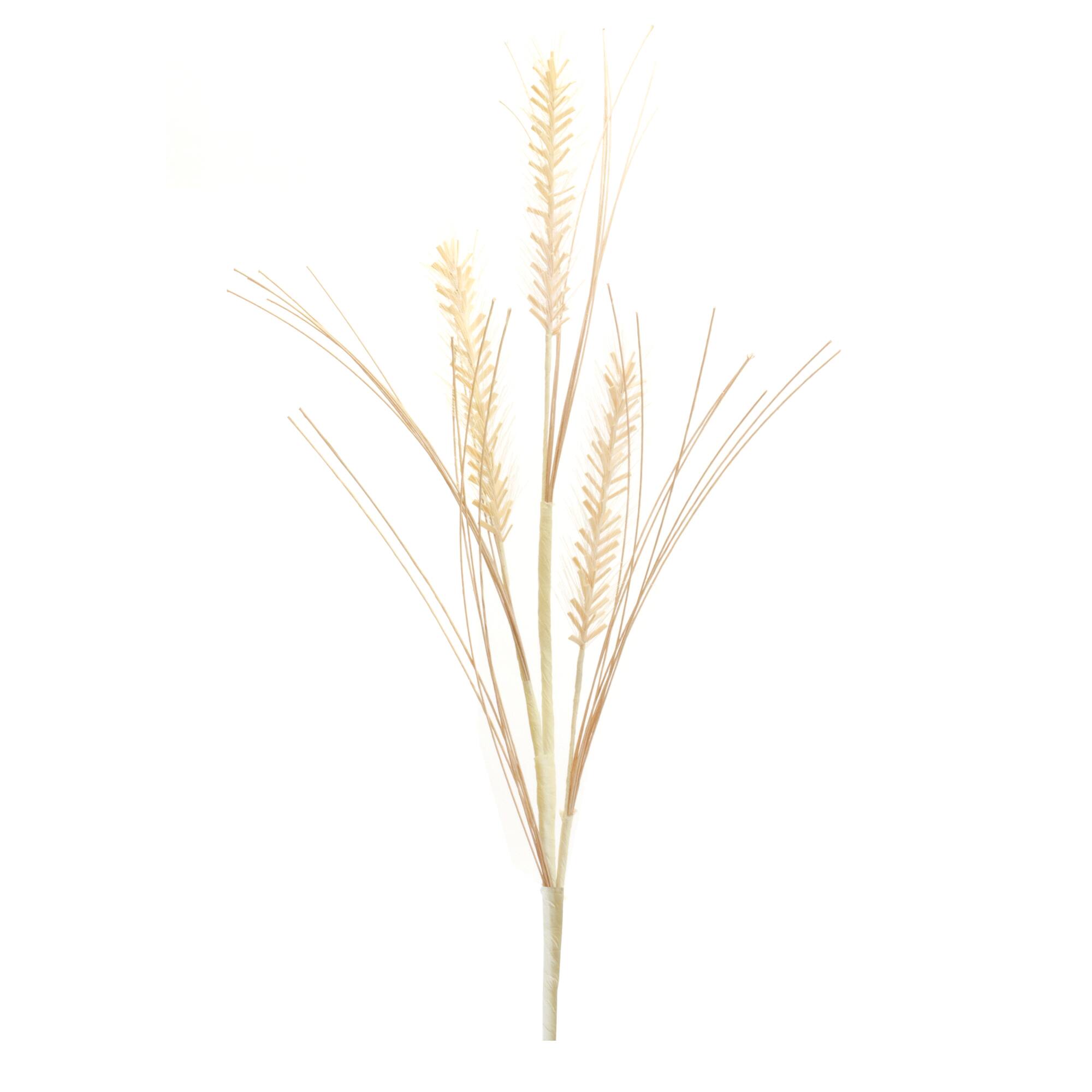 White Foxtail & Pod Spray, 12ct.