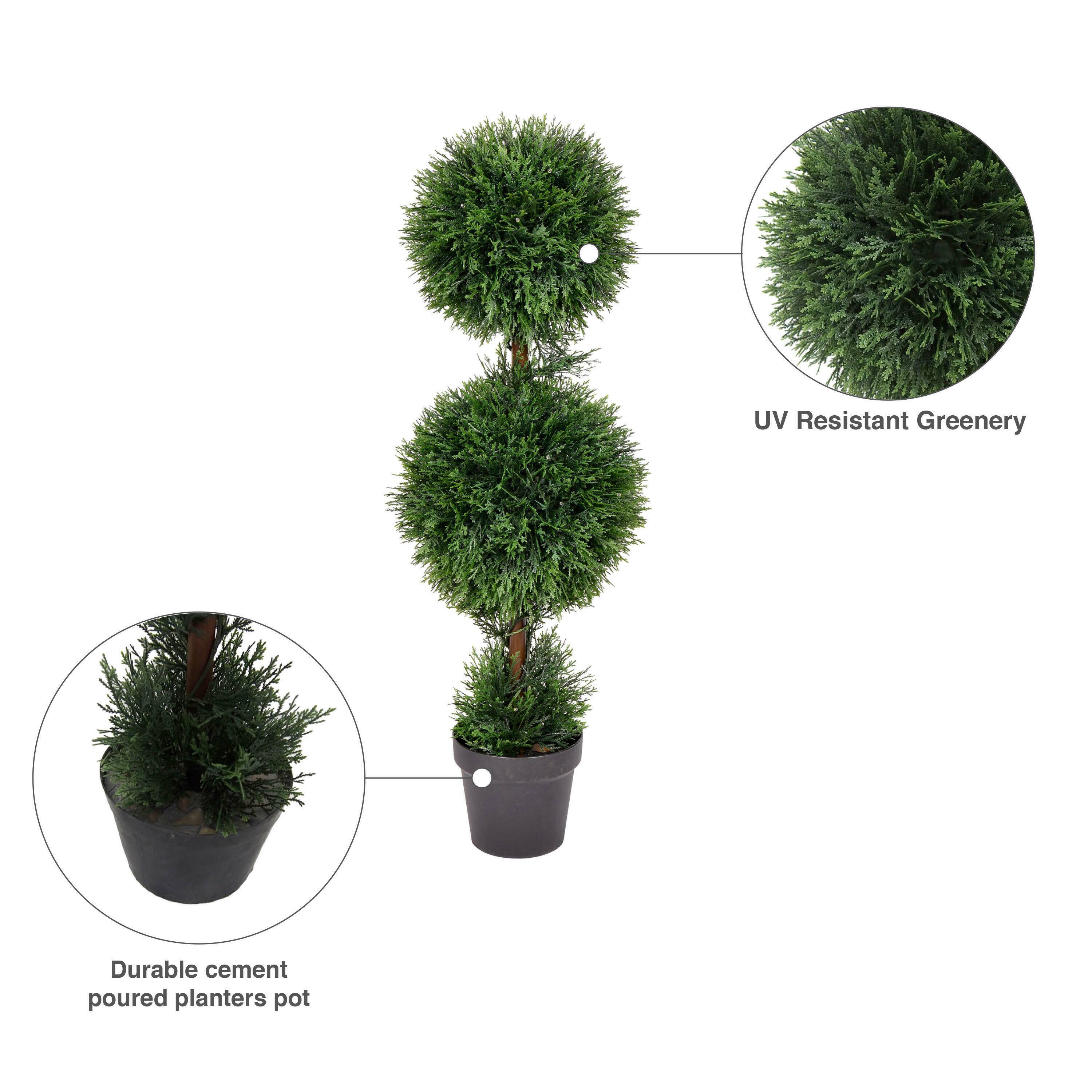 3ft. Potted Cedar Double Ball Topiary Tree