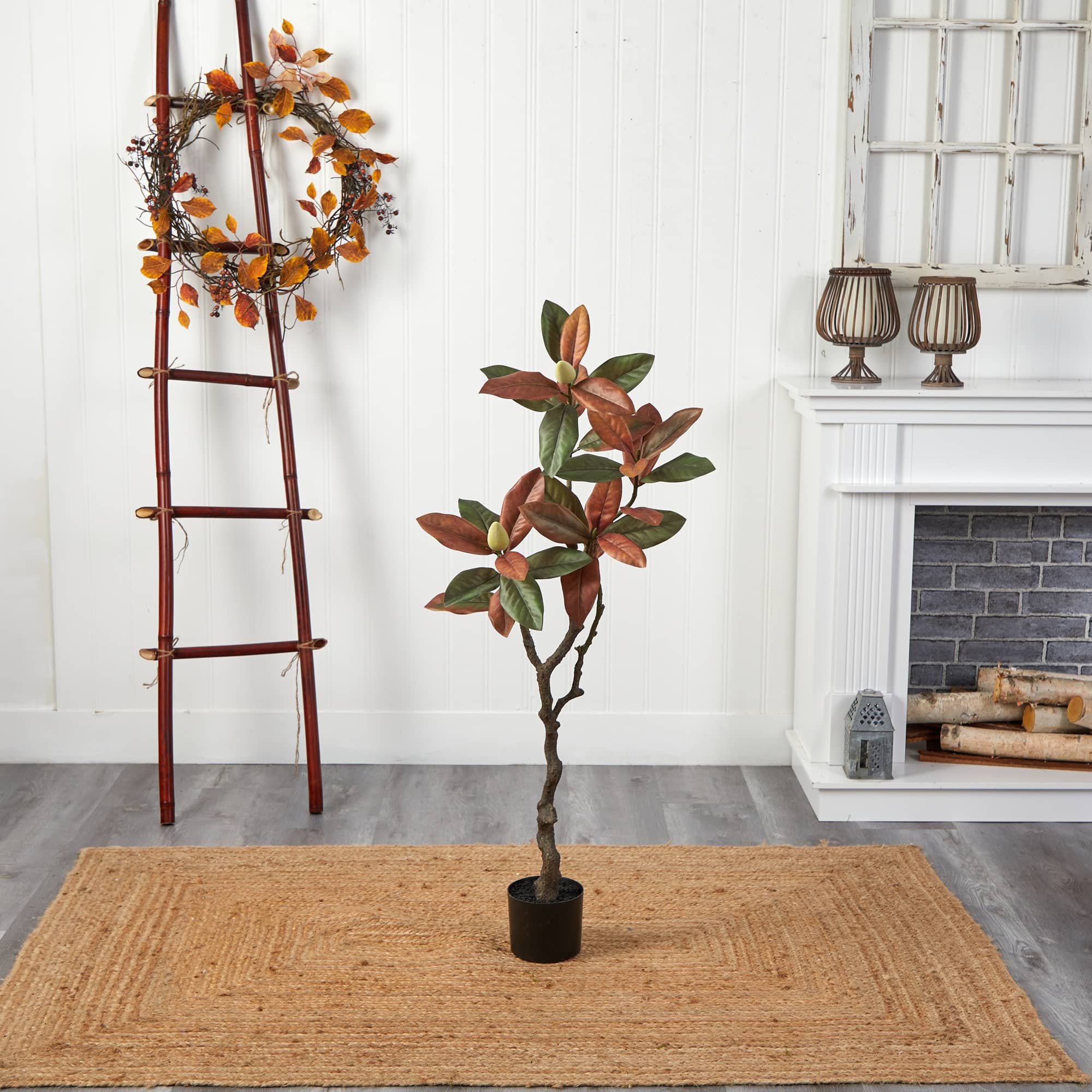 4ft. Potted Fall Magnolia Tree