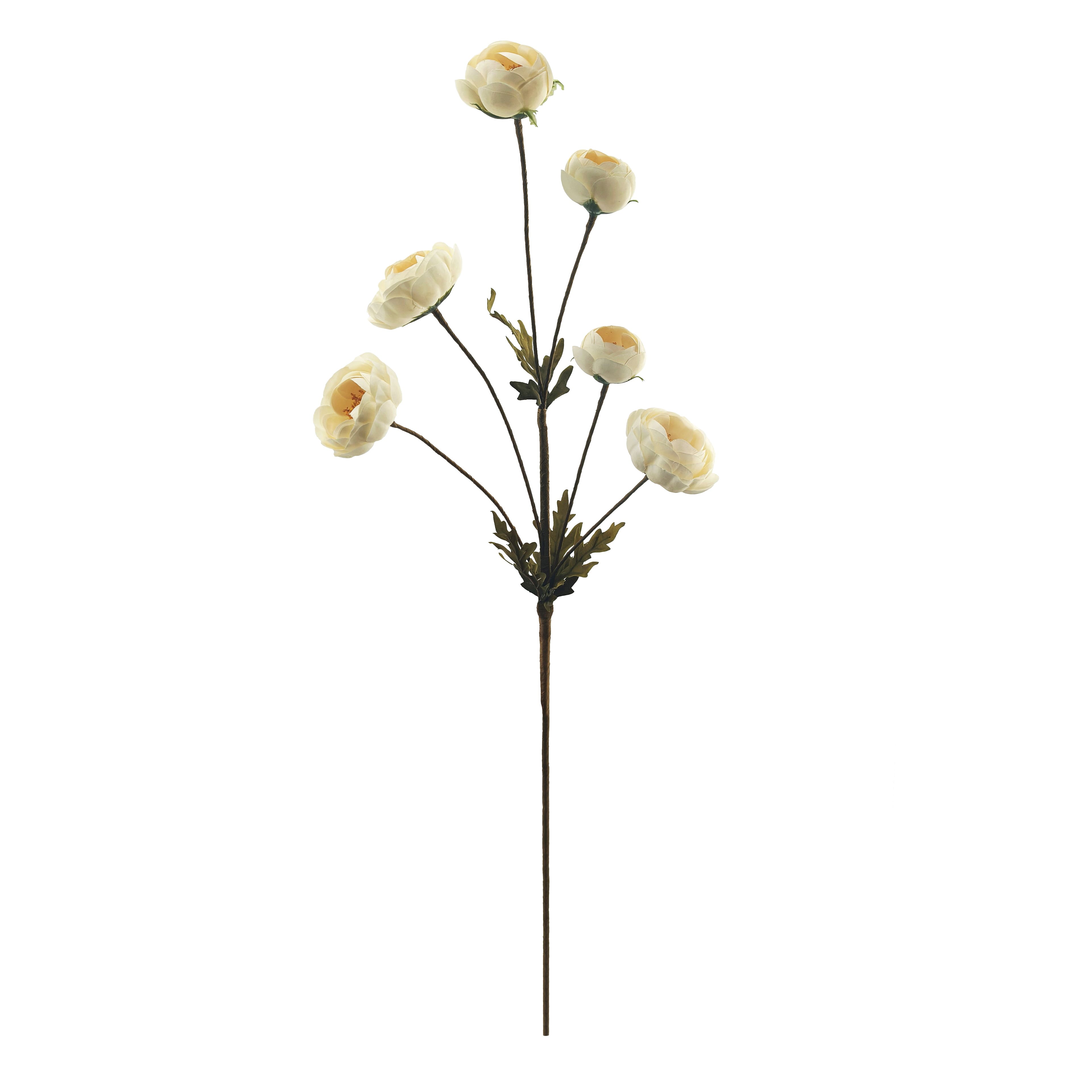 32&#x22; Ranunculus Stem by Ashland&#xAE;