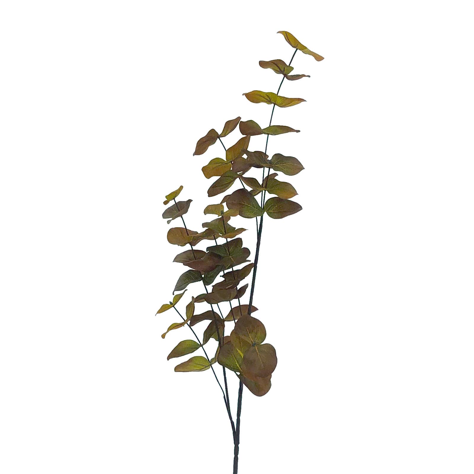 Green &#x26; Orange Eucalyptus Stem by Ashland&#xAE;