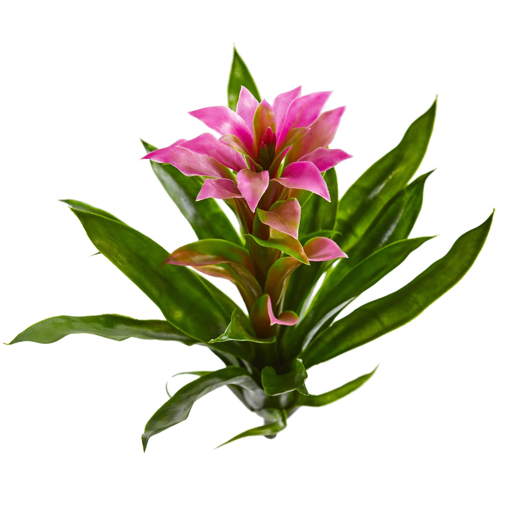 Purple Bromeliad Flower, 4ct.