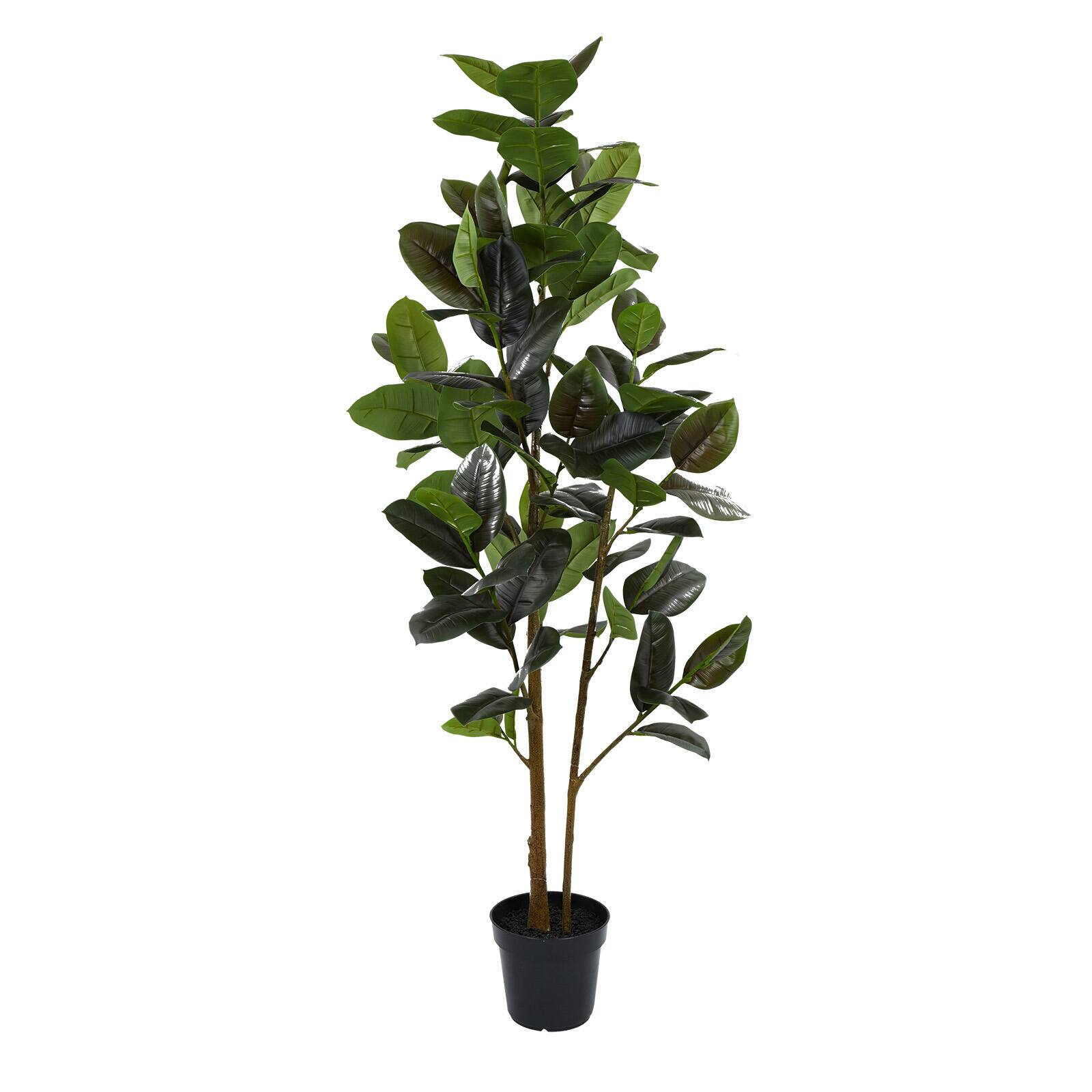 6ft. Potted Rubber Leaf Tree by Ashland®