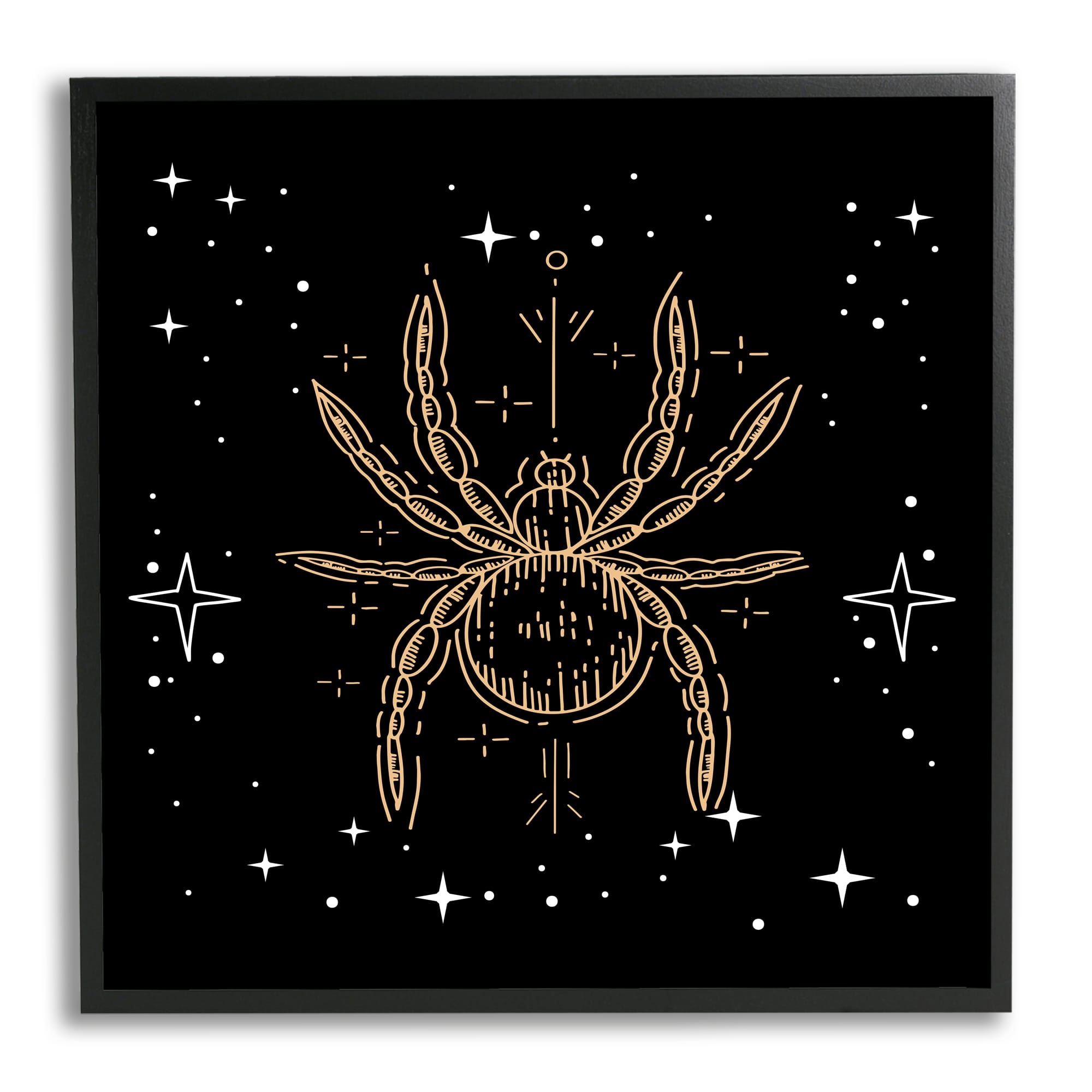 Stupell Industries Starry Halloween Spider Insect Framed Gicl&#xE9;e Wall Art