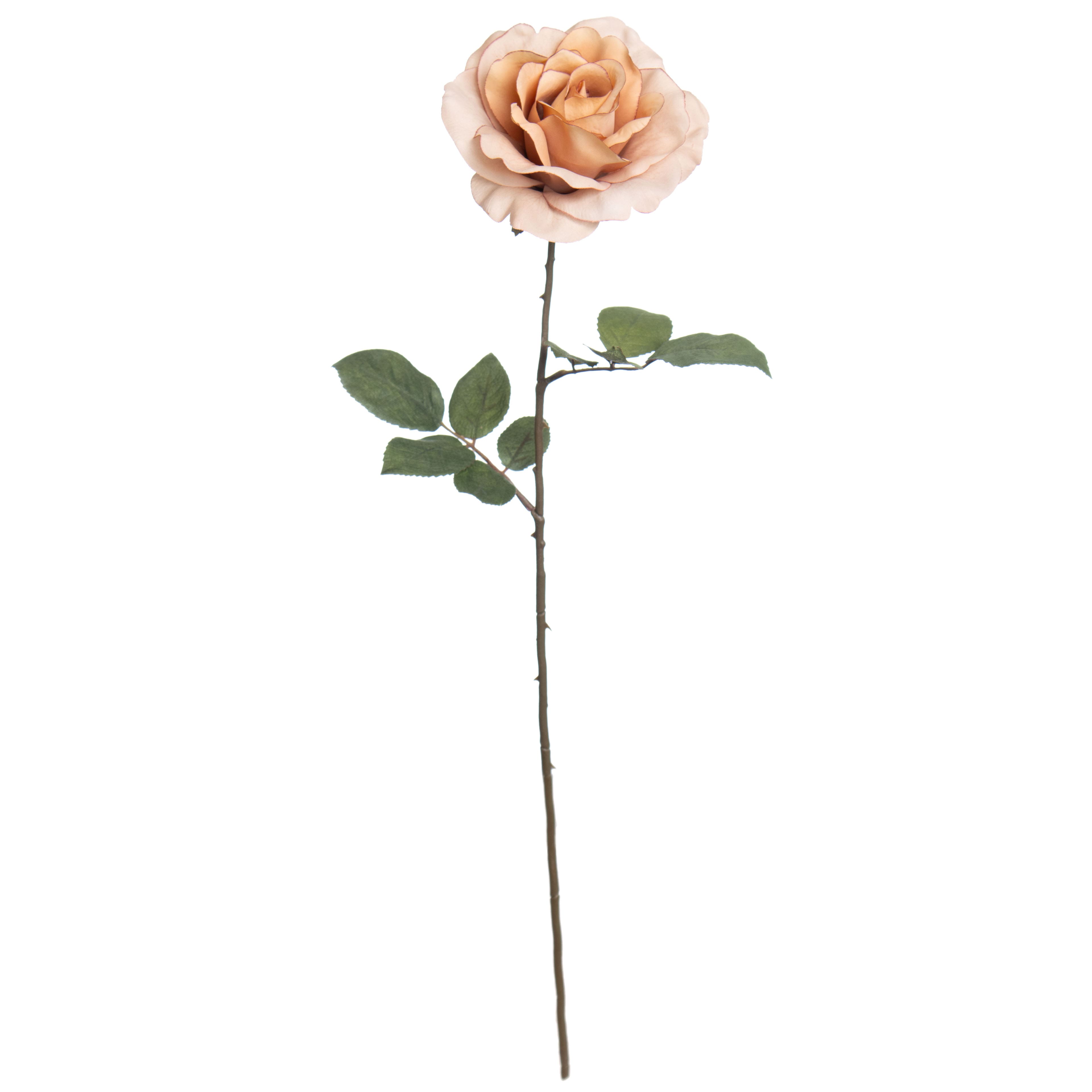 26&#x22; Rose Stem by Ashland&#xAE;