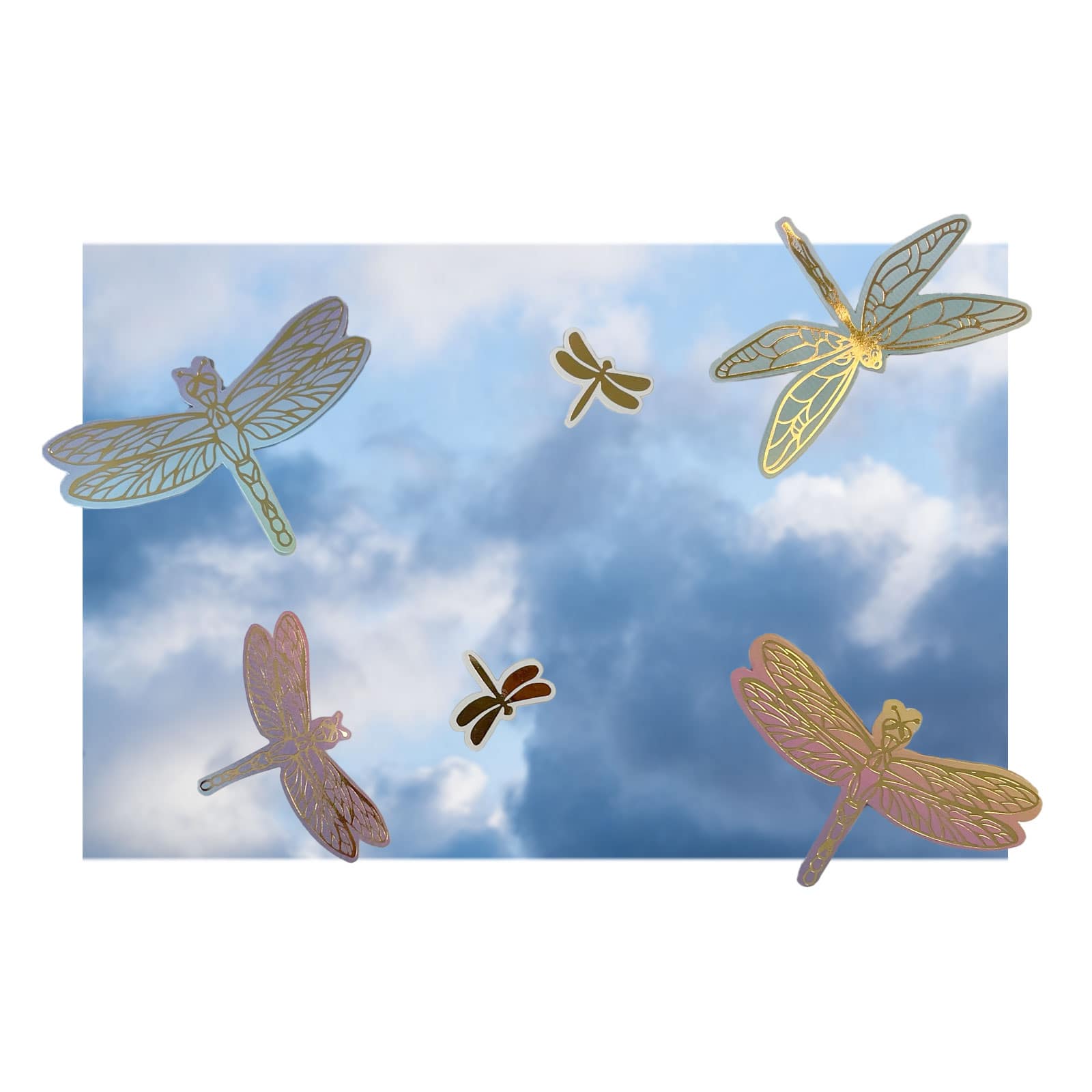 Dragonfly Stickers by Recollections&#x2122;