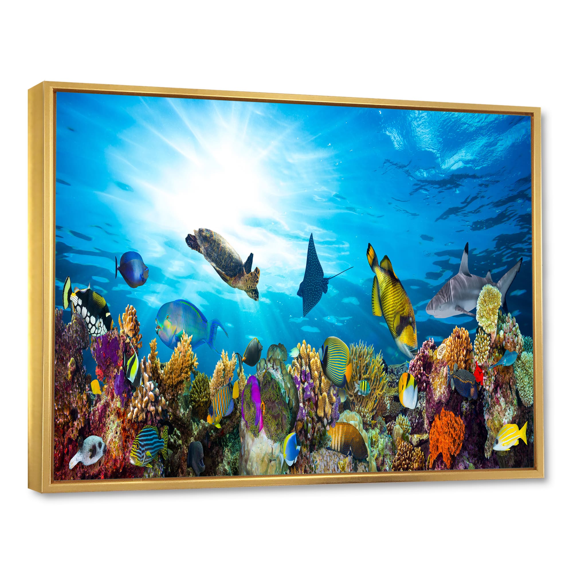 Designart - Colorful Coral Reef with Fishes - Seascape Framed Canvas Art Print