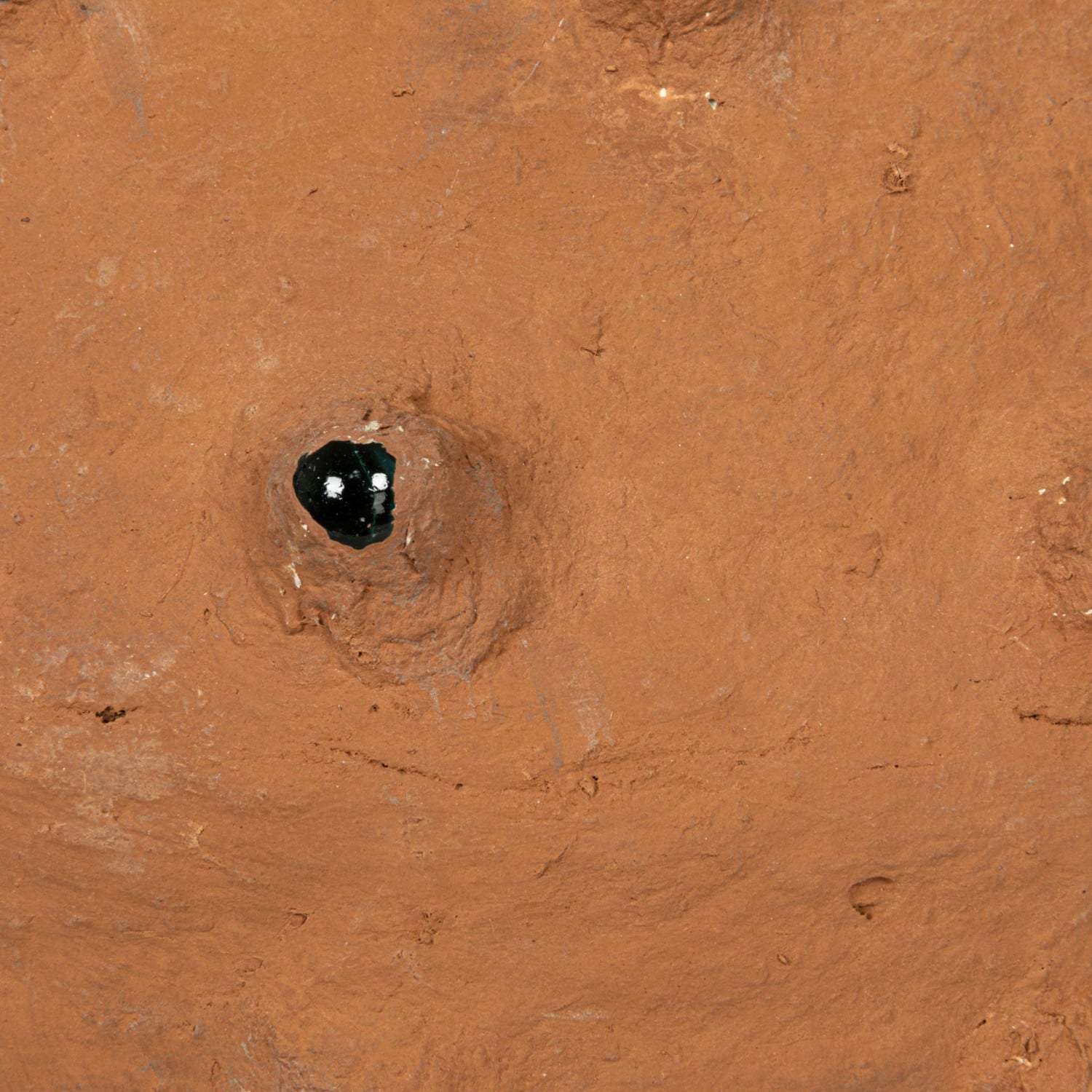 Hello Honey® Decorative Paper Mâché Canister with Glass Marble Accent