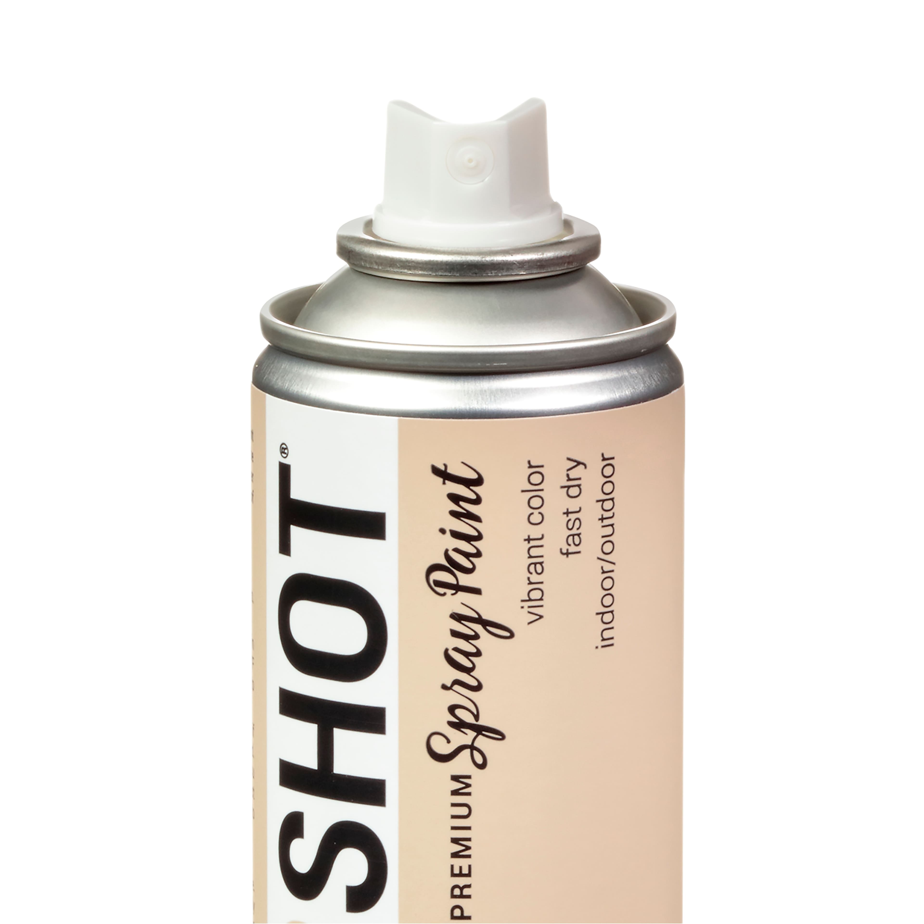 COLORSHOT&#xAE; Premium Satin Spray Paint