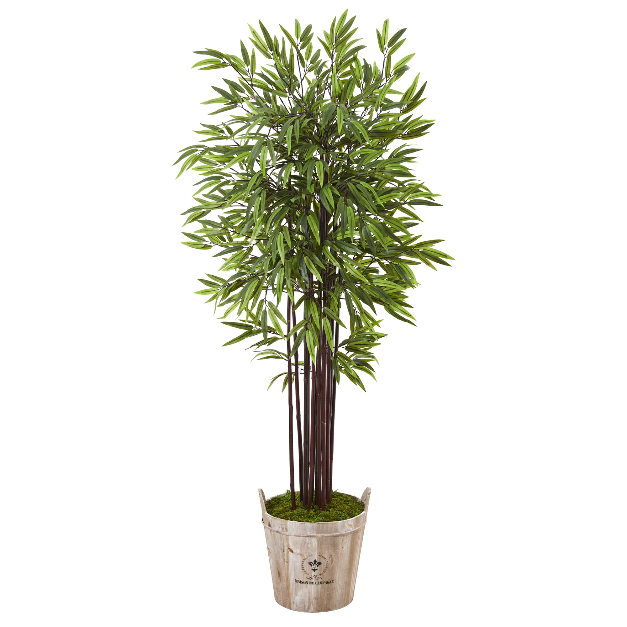 5.5ft. Bamboo Tree in Farmhouse Planter | Michaels