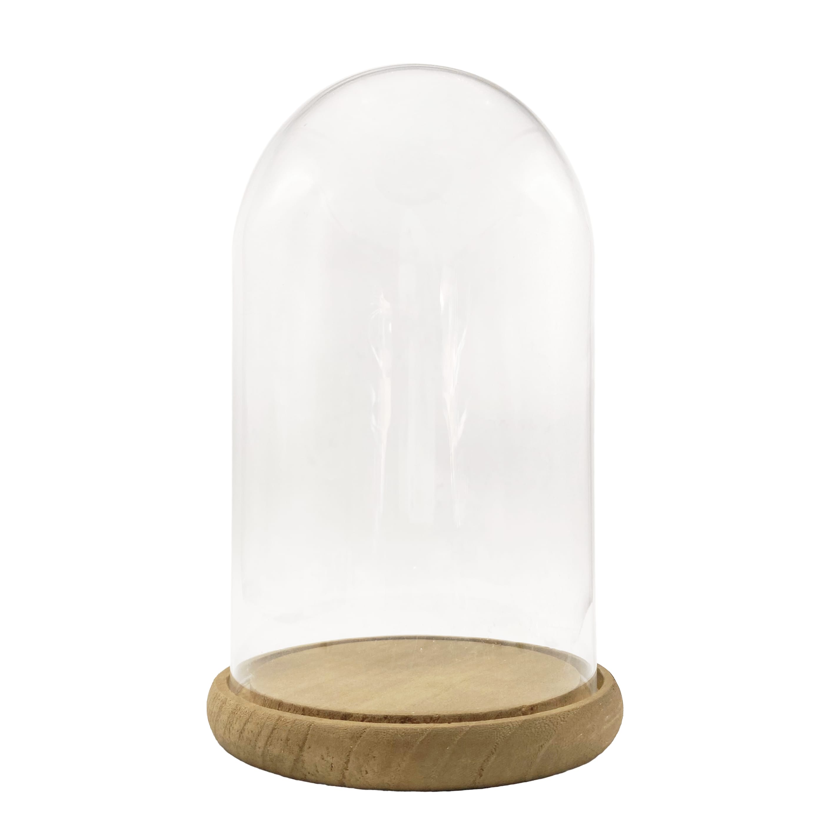 9.5" Glass Cloche with Wood Base by Ashland®