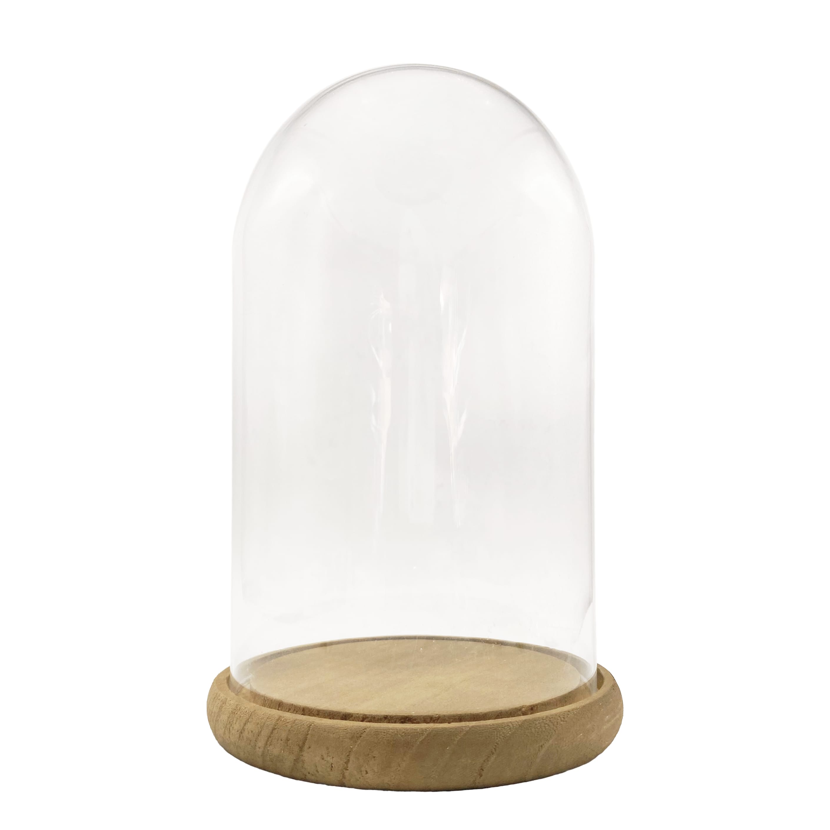 6 Pack: 9.5&#x22; Glass Cloche with Wood Base by Ashland&#xAE;