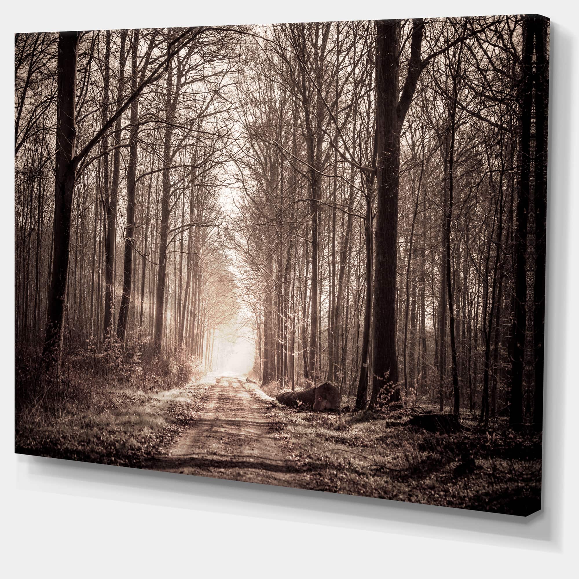 Designart - Forest Trail in Sepia - Landscape Photography Canvas Art Print