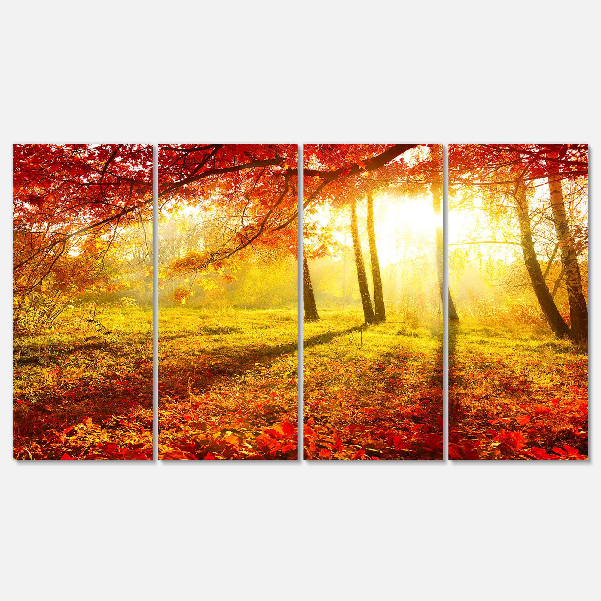 Designart - Yellow Red Fall Trees and Leaves