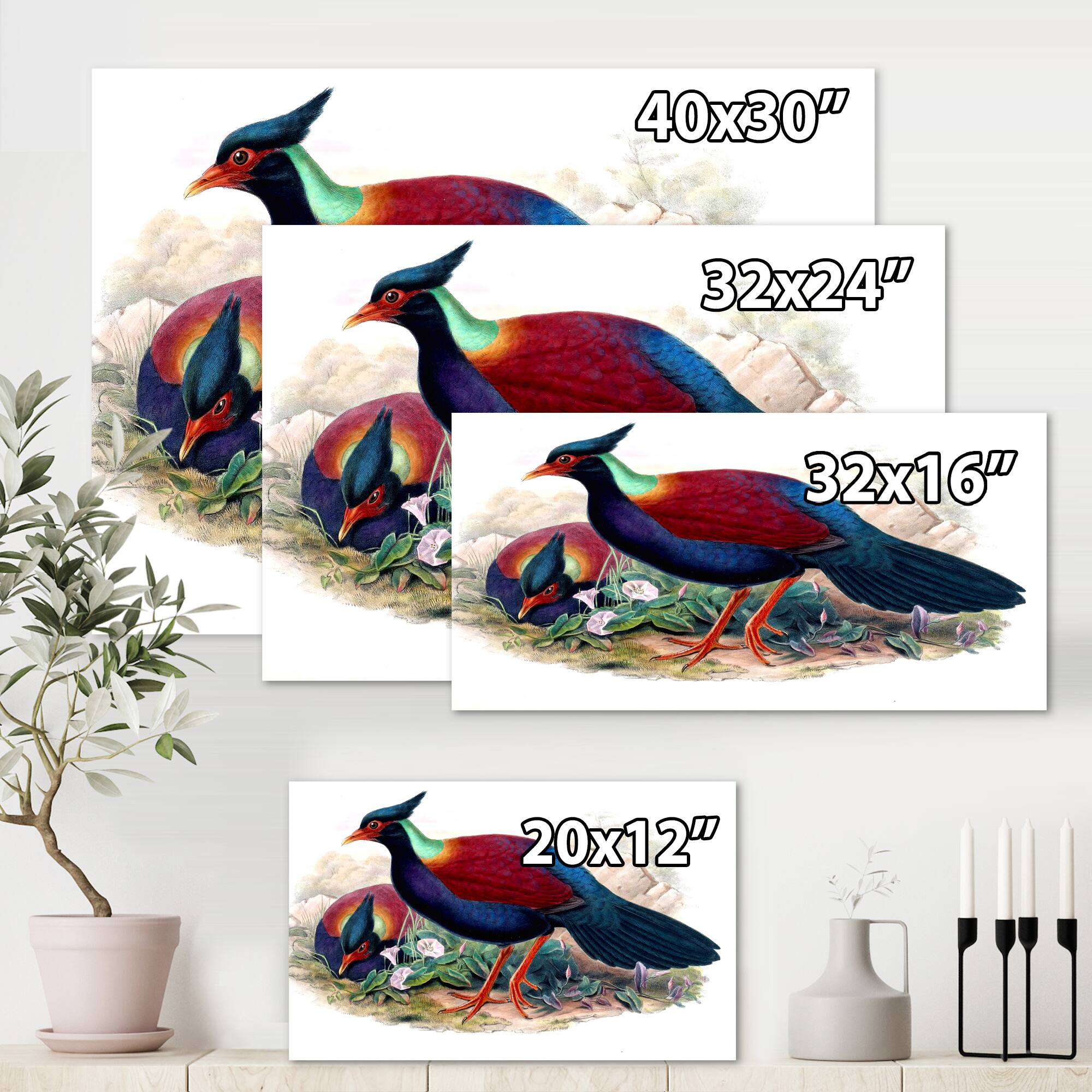 Designart - Vintage Birds In The Wild II - Traditional Canvas Wall Art Print