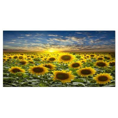 Designart - Field of Blooming Sunflowers - Large Flower Canvas Wall Art ...