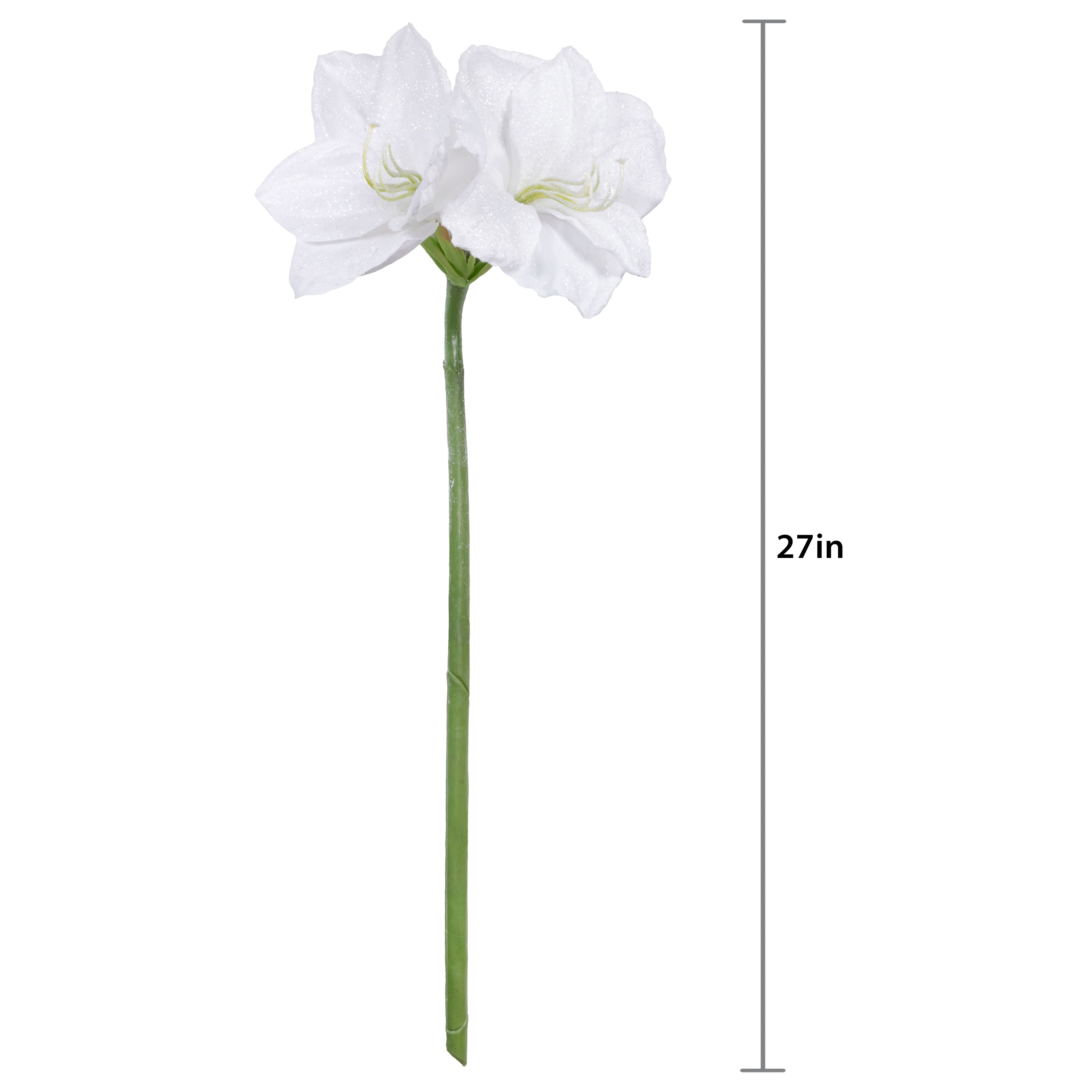 26&#x22; Snow White Amaryllis Stem by Ashland&#xAE;