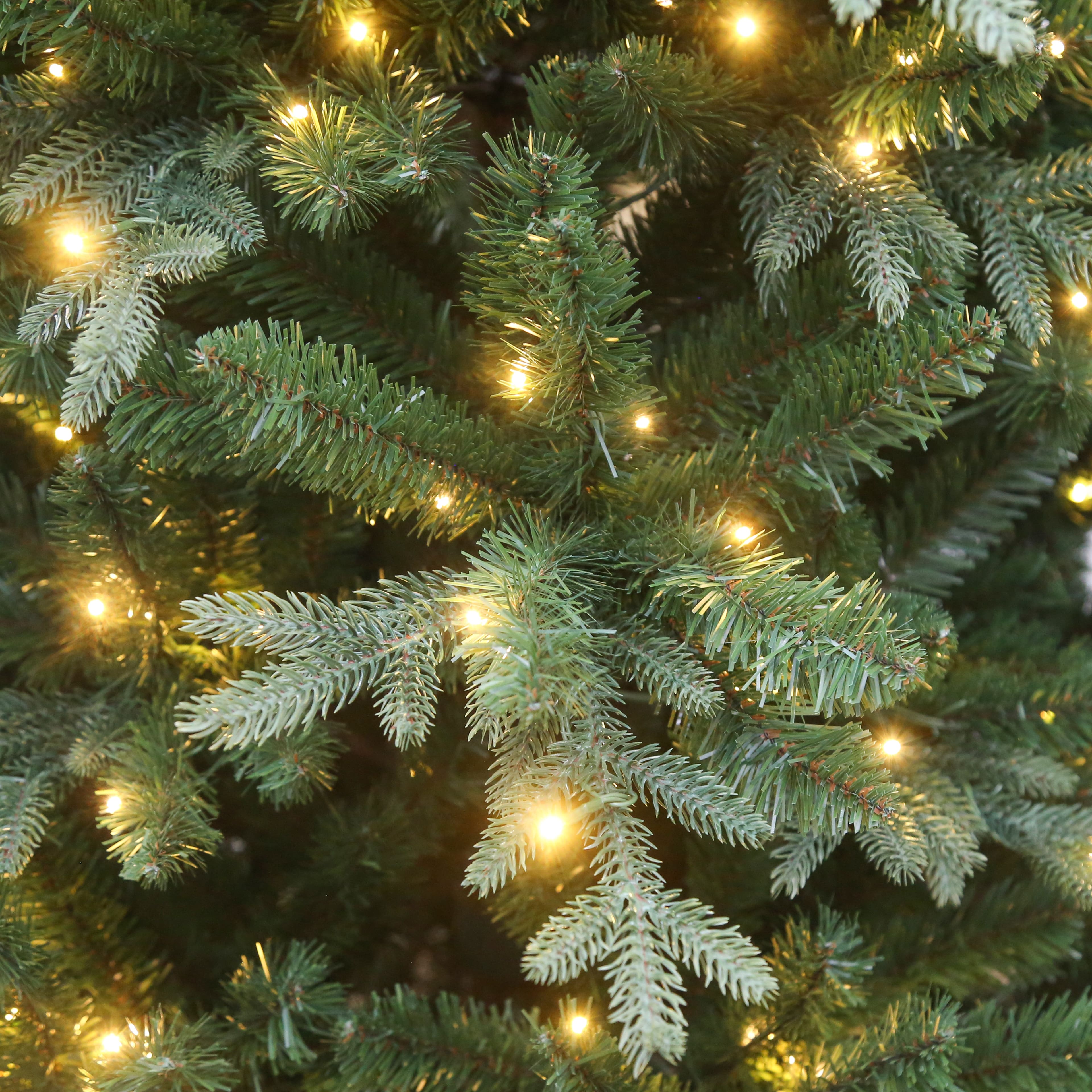 7.5ft. Pre-Lit Windsor Spruce Artificial Christmas Tree, Color Changing LED Lights by Ashland&#xAE;