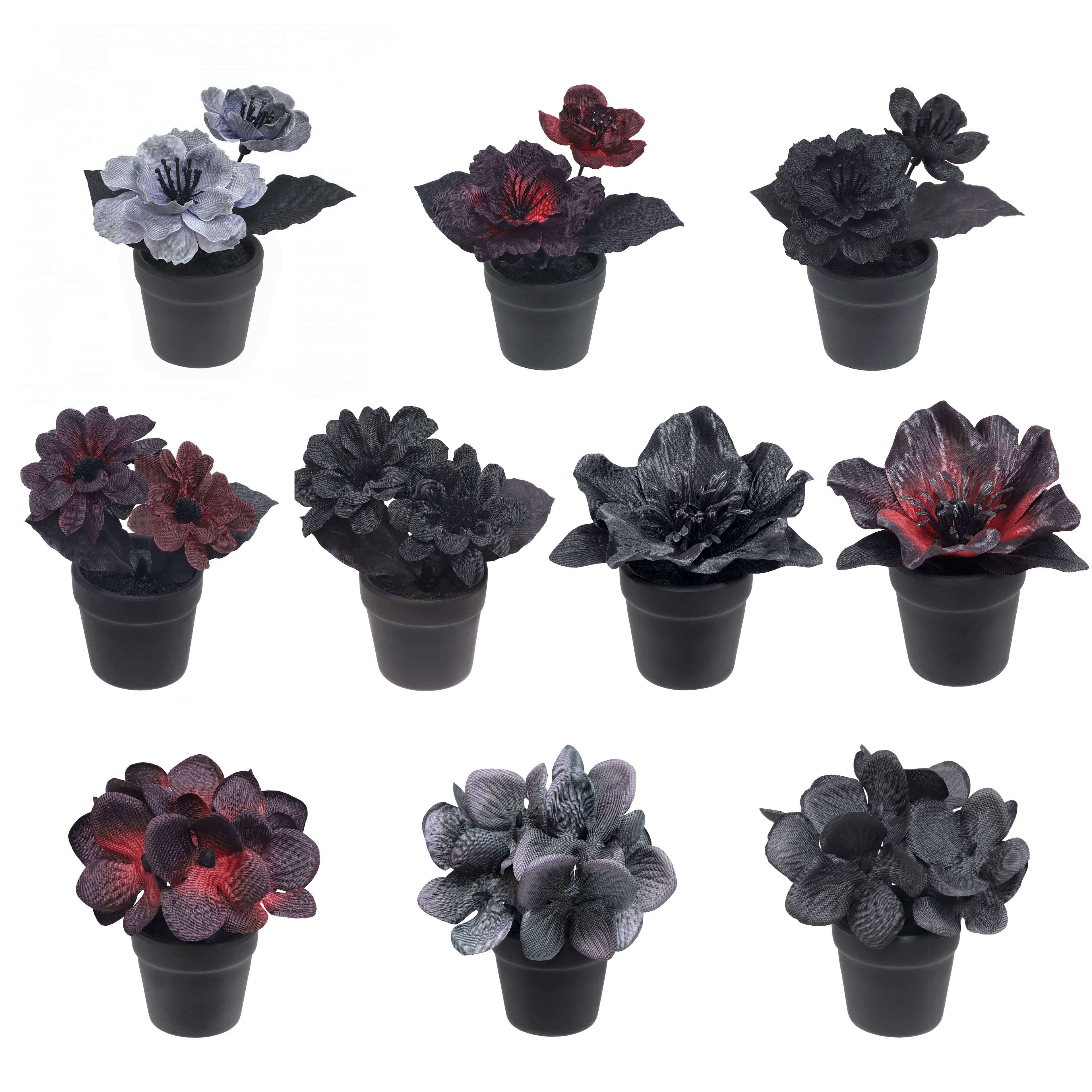 Assorted Mini Potted Floral Arrangement by Ashland&#xAE;, 1pc.