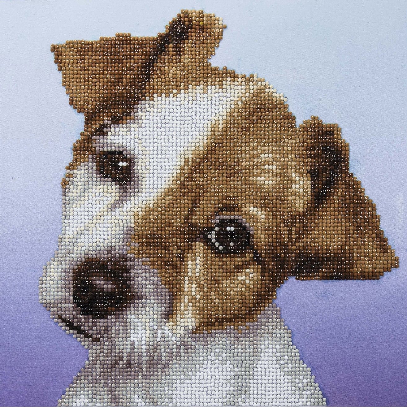 Small Dog - Diamond Paintings 