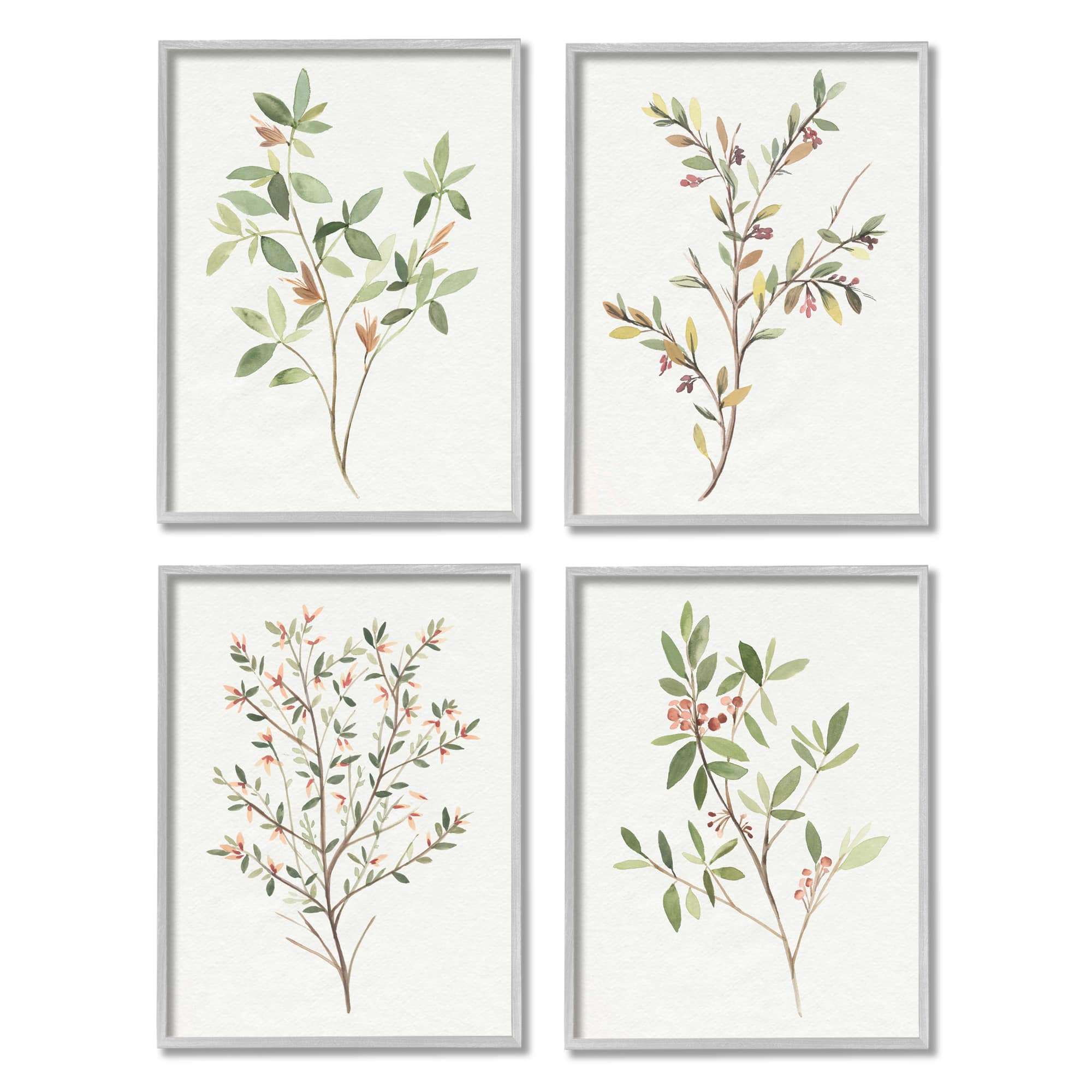 Stupell Industries Soft Farmhouse Botanicals Charming Wild Foliage Plant Illustration Framed Wall Art