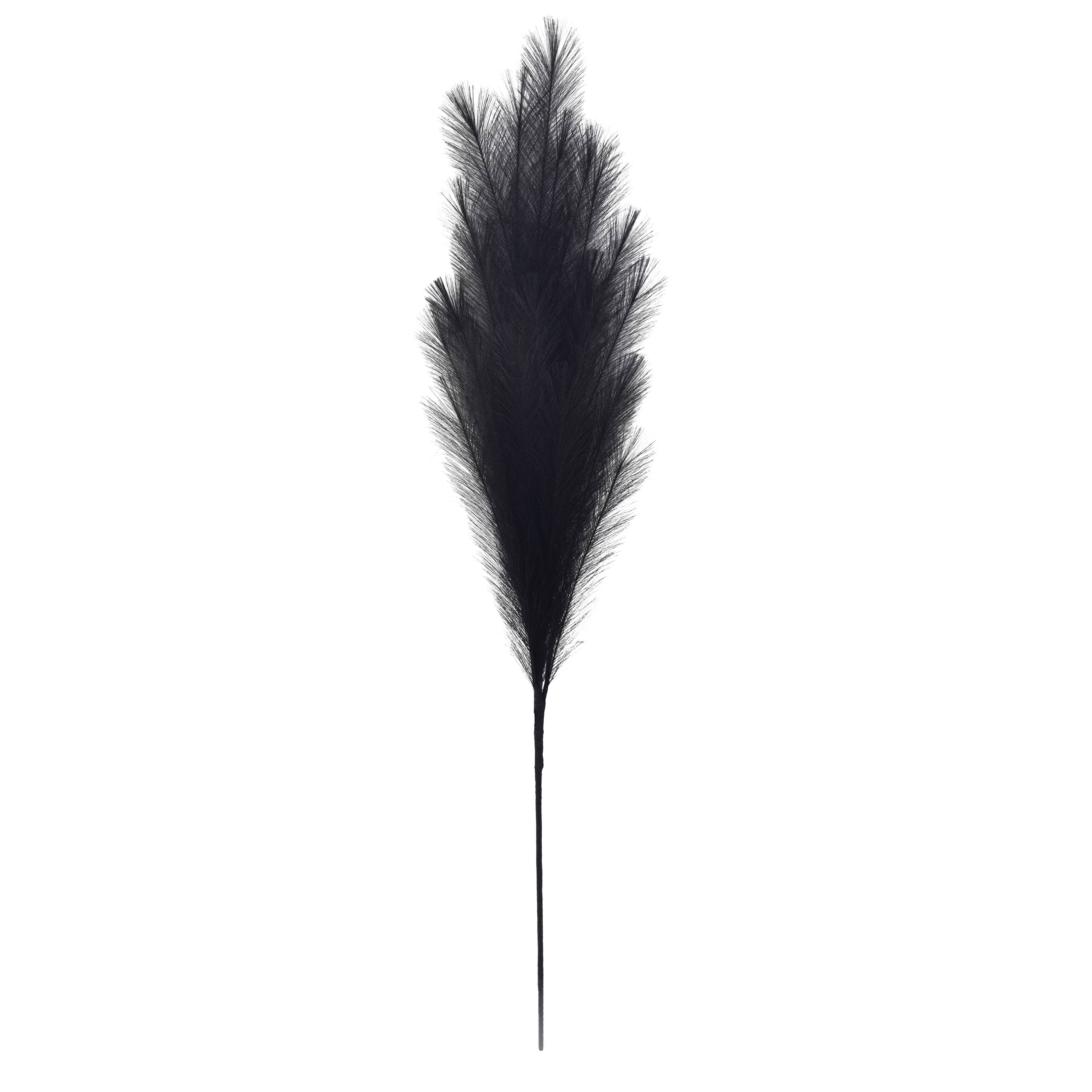 6 Pack: 42" Black Pampas Grass Stem by Ashland®