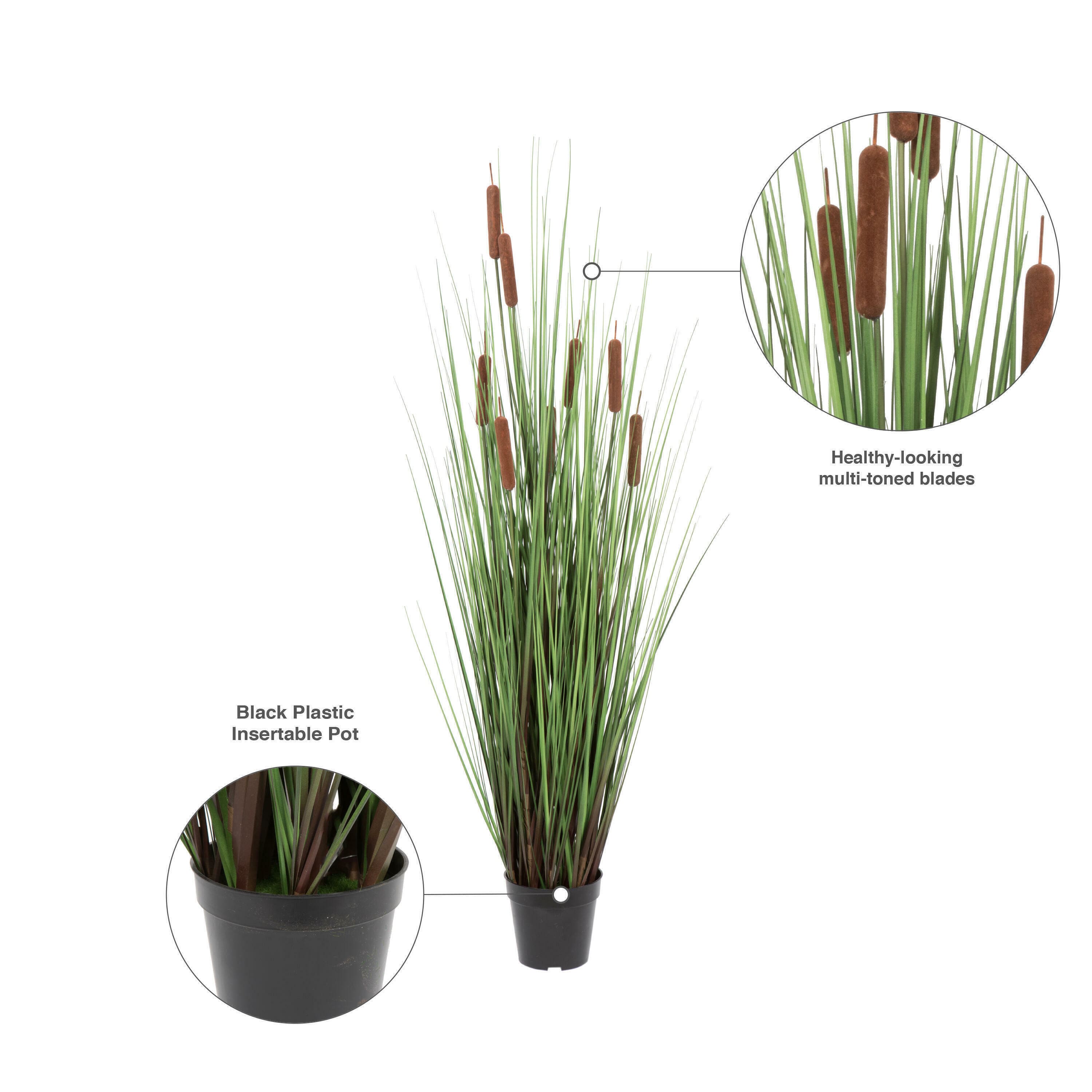 Potted Green Straight Grass &#x26; Cattails