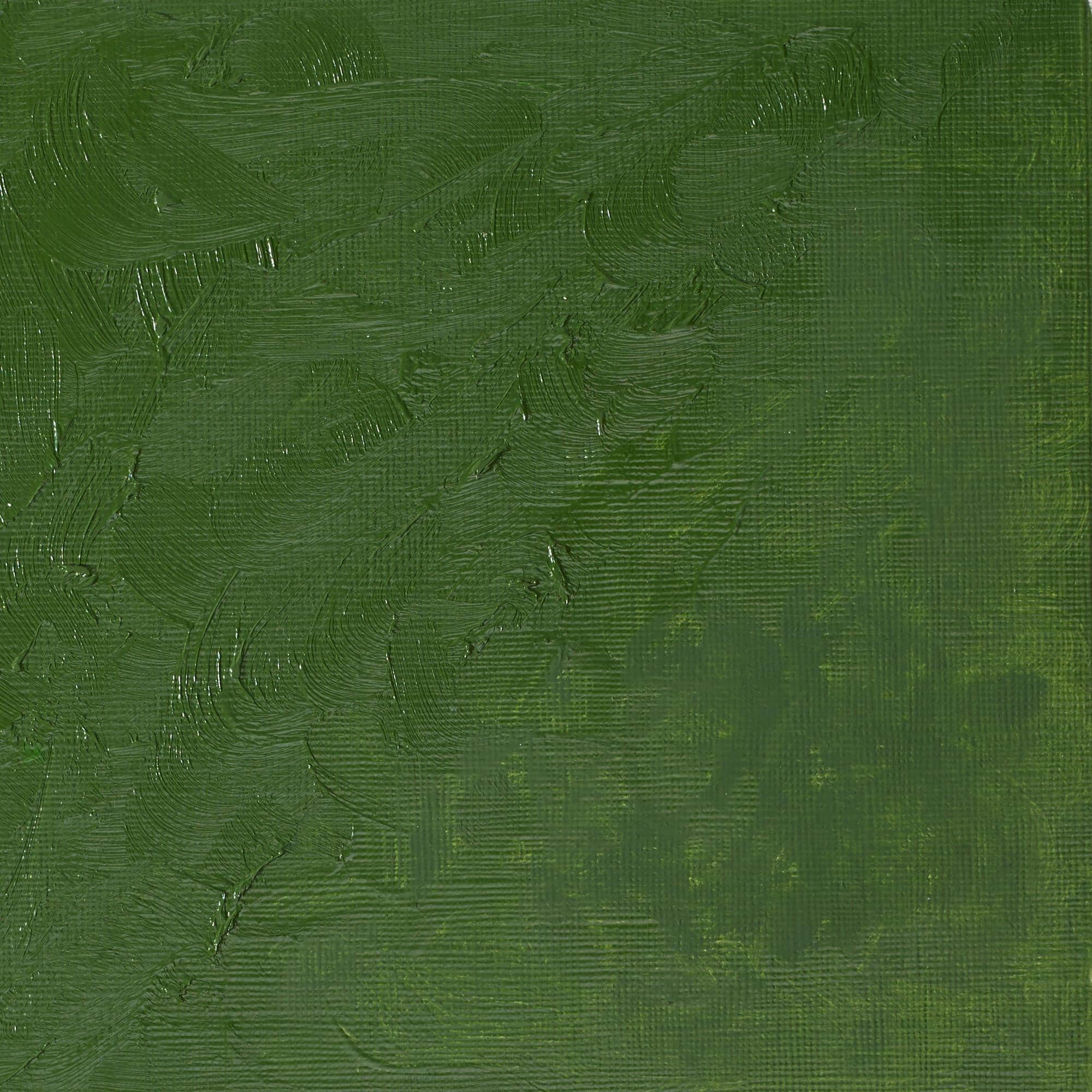 Winsor &#x26; Newton&#x2122; Winton 6.75oz. Oil Colour&#x2122; Paint