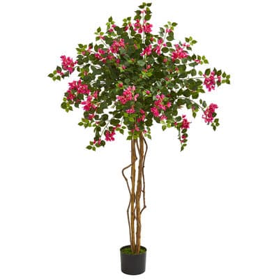 5.5ft. Potted Bougainvillea Tree | Michaels