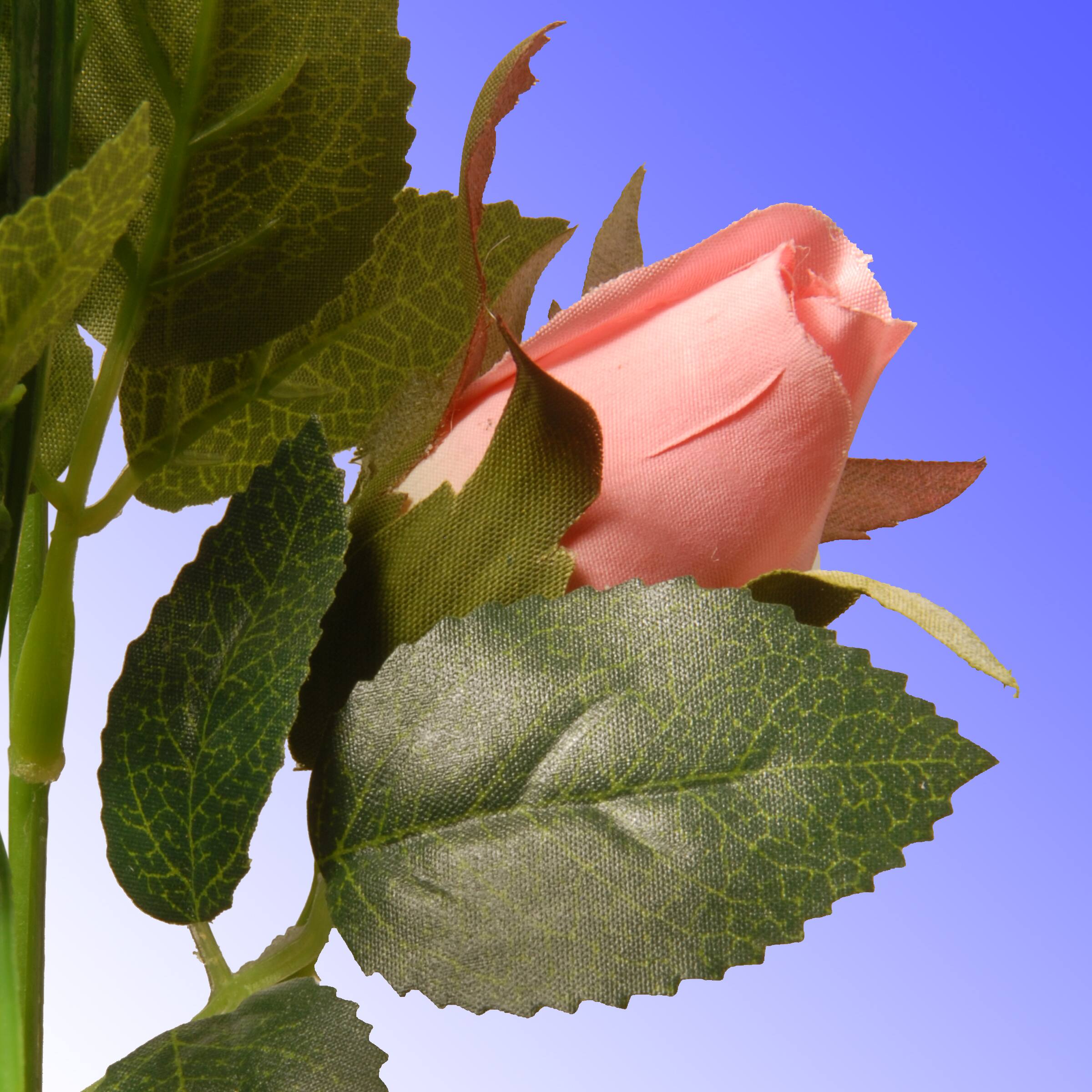 12&#x22; Pink Rose Flowers in Glass Bottle