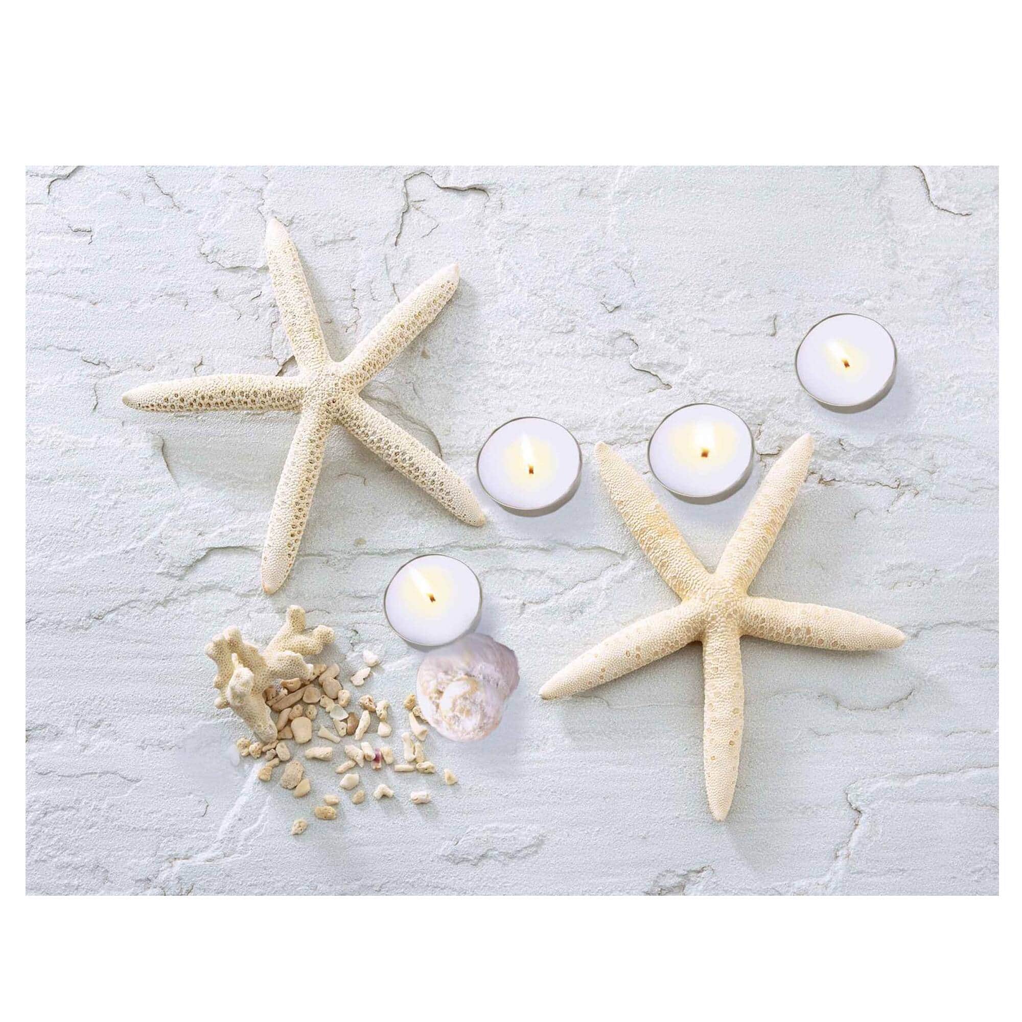 11.7" LED Lighted Starfish, Seashell, & Tea Light Candles Canvas Wall Art