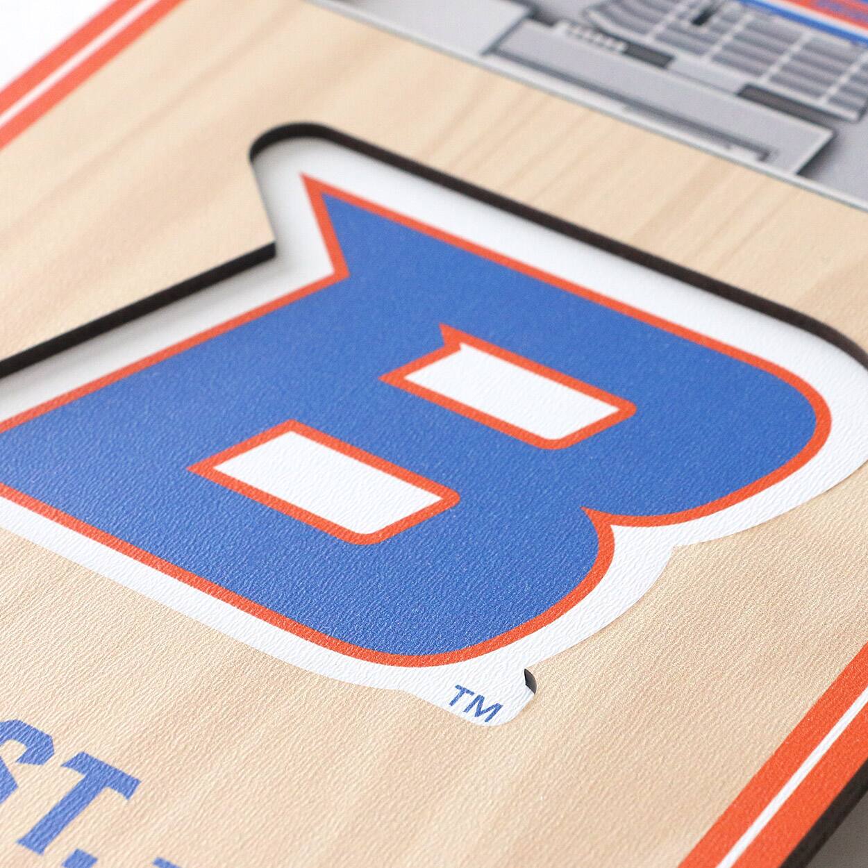 NCAA 6&#x22; x 19&#x22; StadiumView 3D Banner