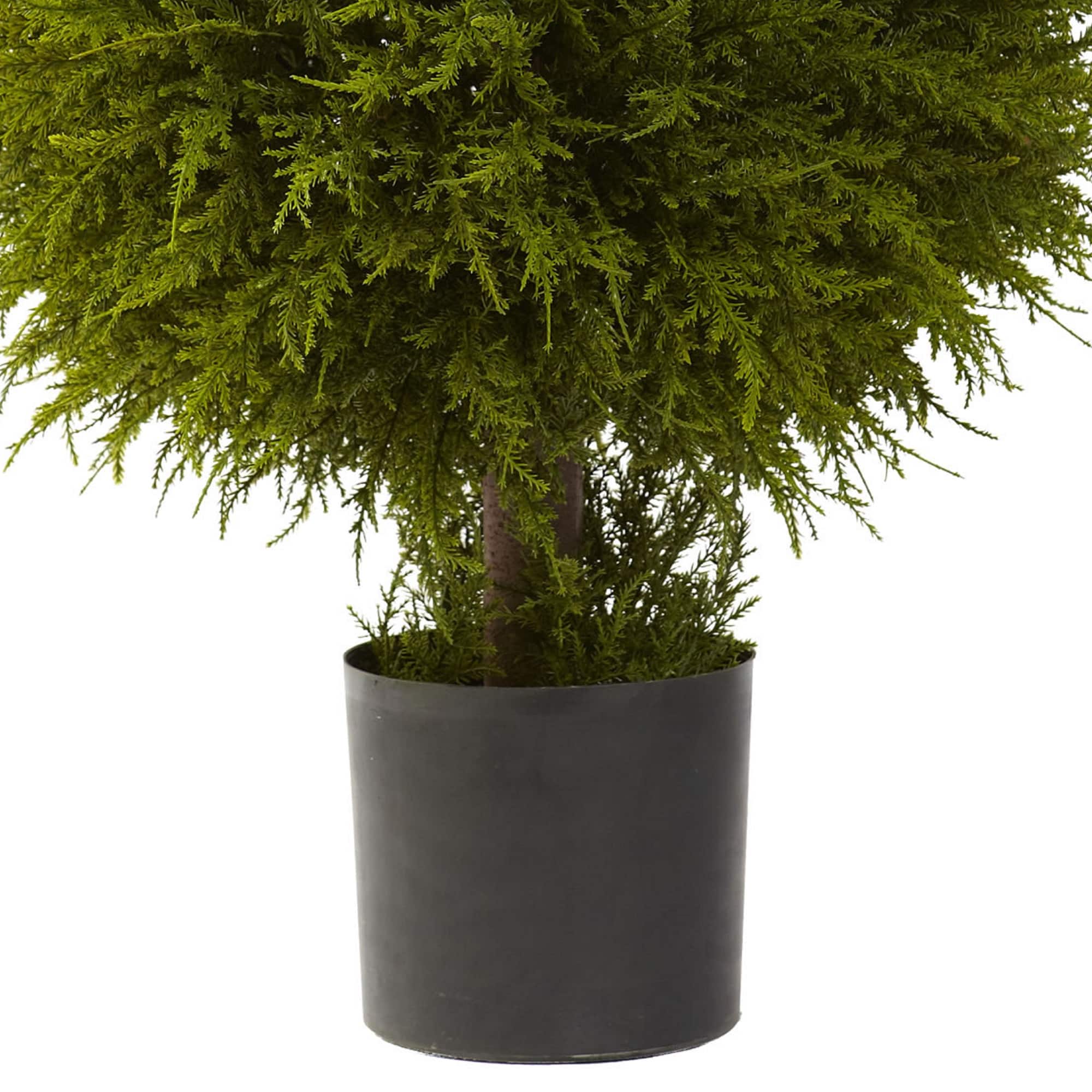 2.5ft. Potted Cedar Ball Topiary