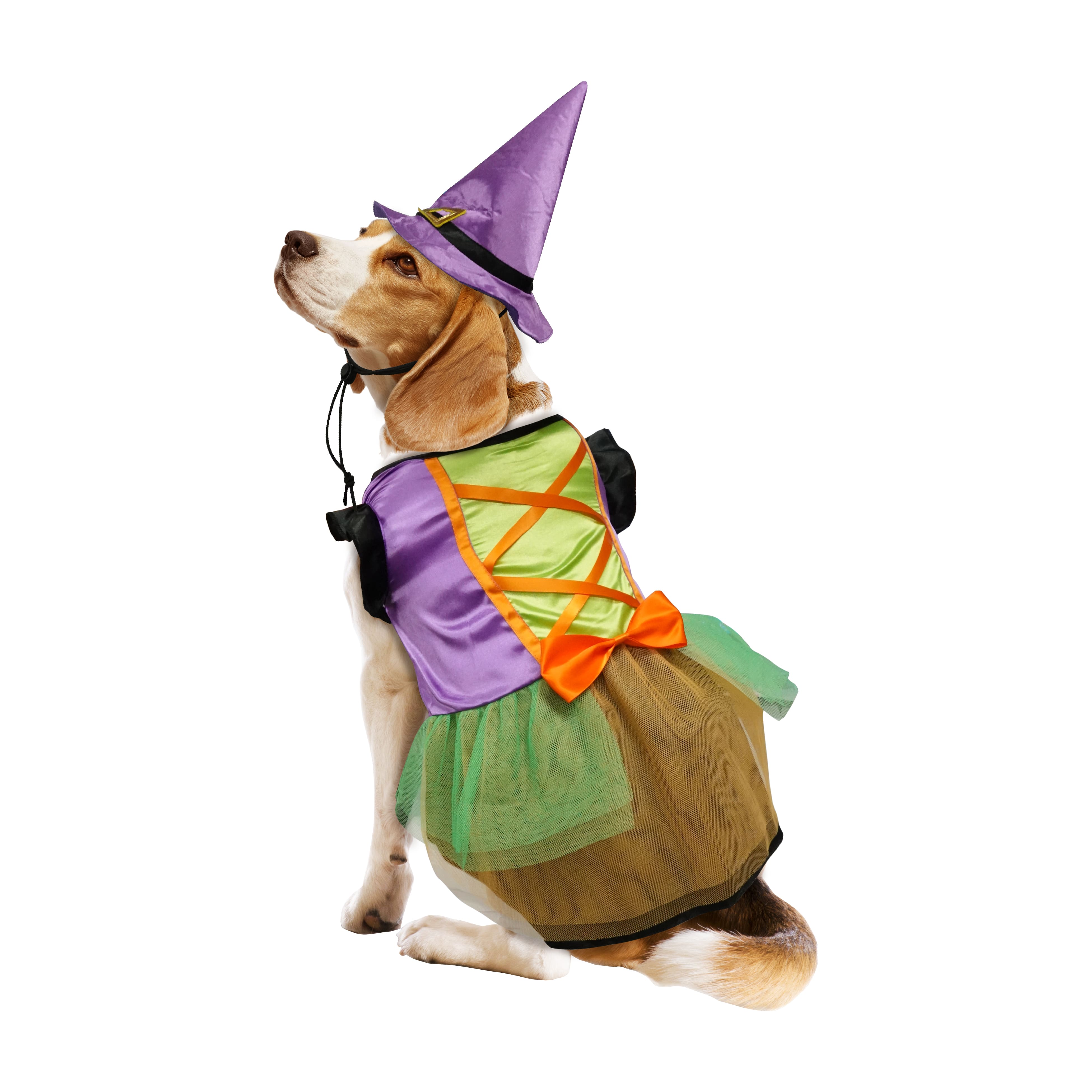 Best Furry Friends Witch Dress Pet Costume