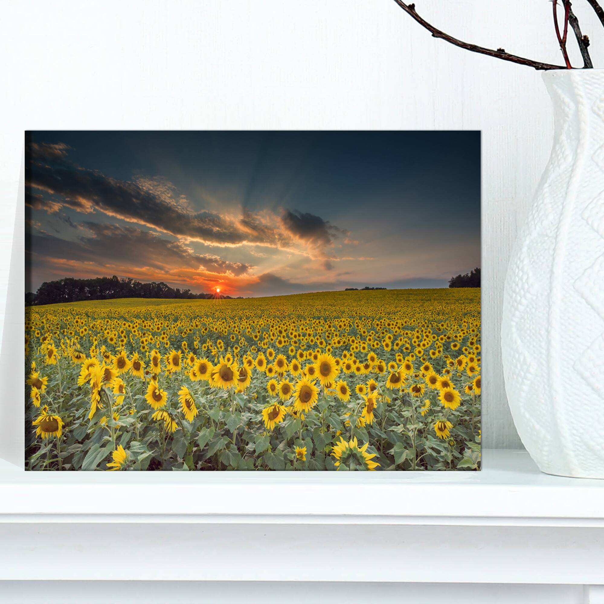Designart - Sunflower Sunset with Cloudy Sky - Large Landscape Canvas Art