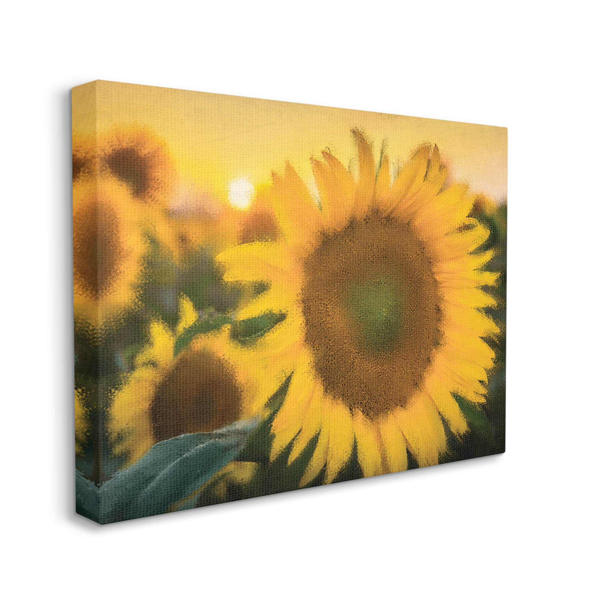 Stupell Industries Sunflower Field Sunrise Realistic Soft Edges Canvas Wall Art