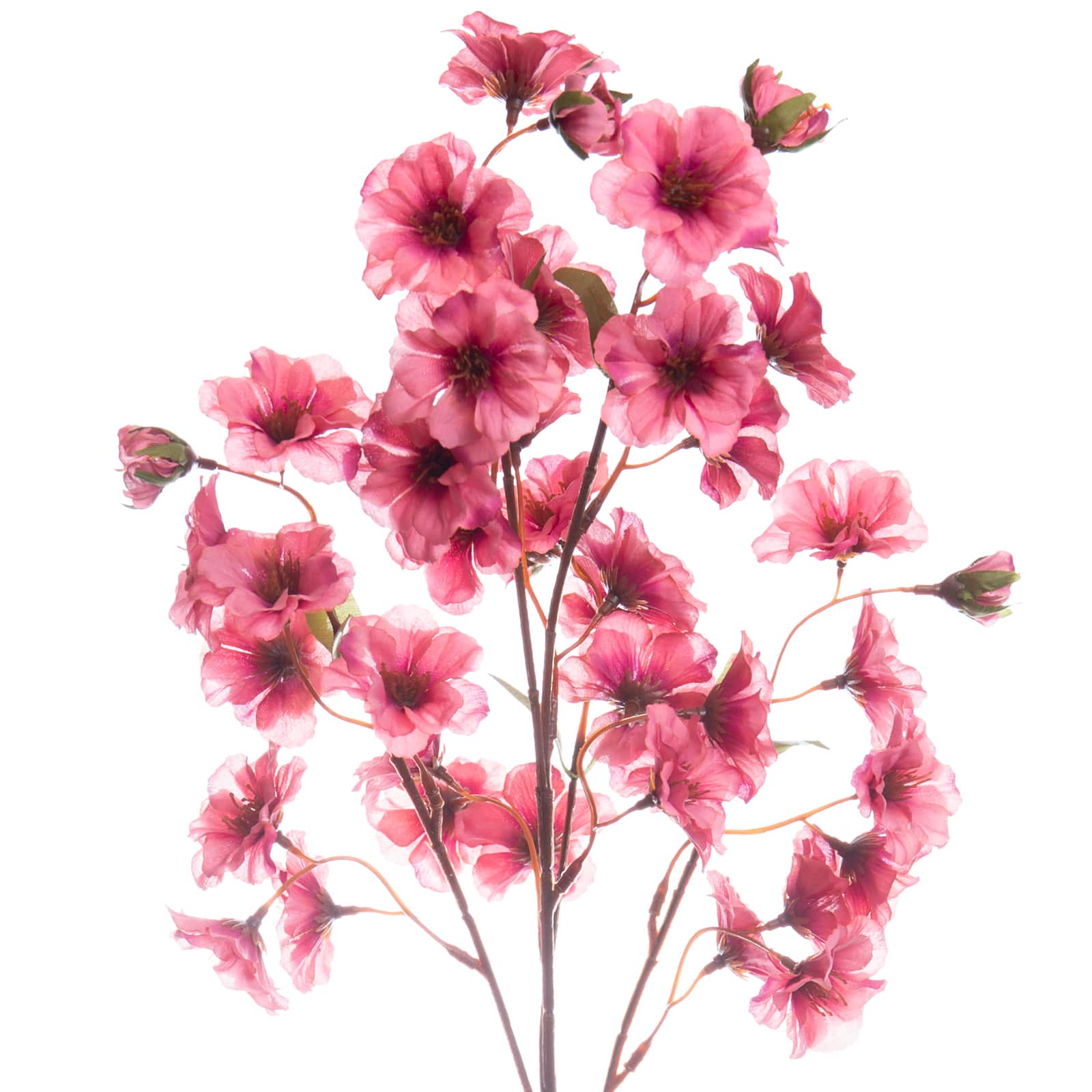 Mauve Peach Blossom Stem by Ashland&#xAE;
