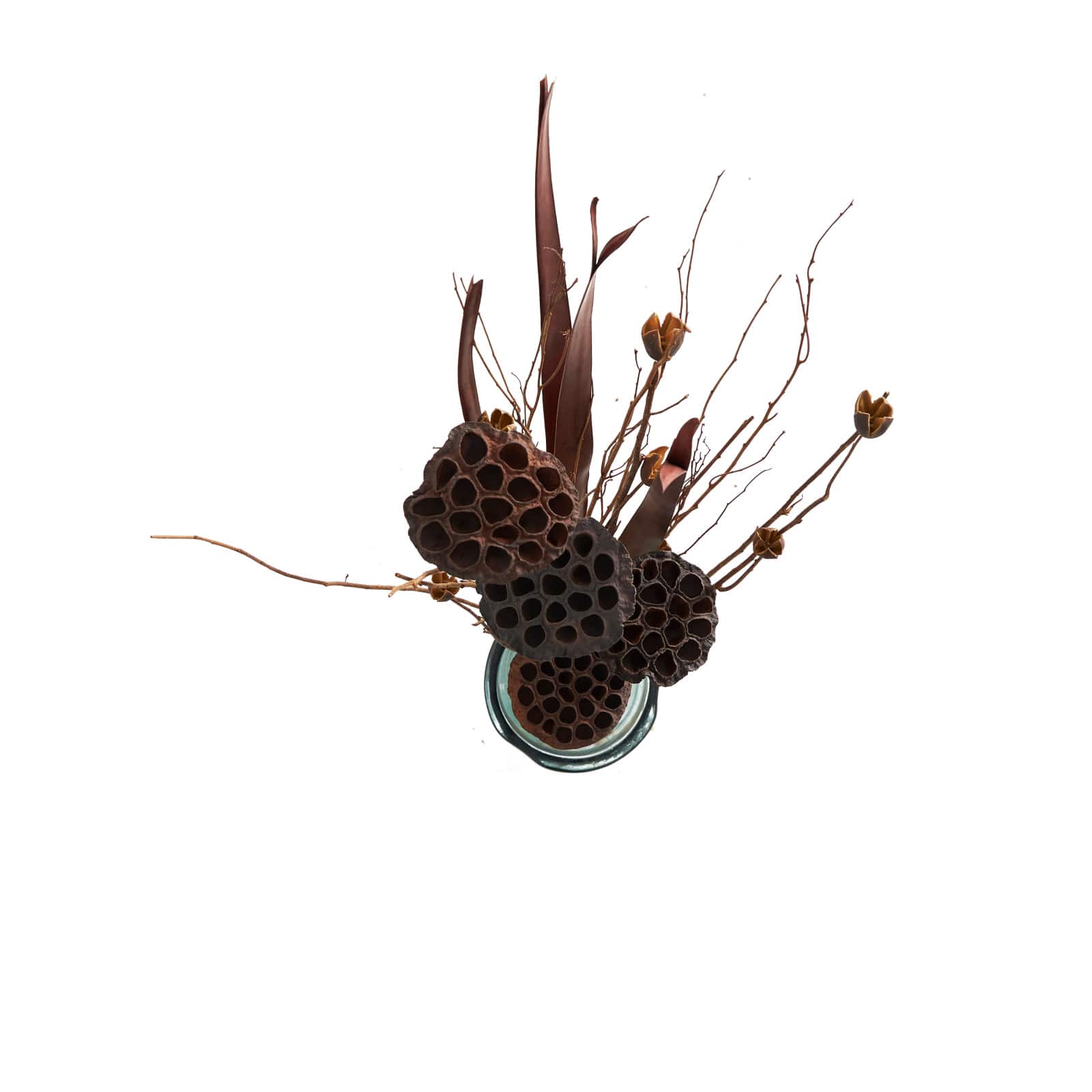 40" Brown Dried Lotus Flower Natural Foliage Bundle