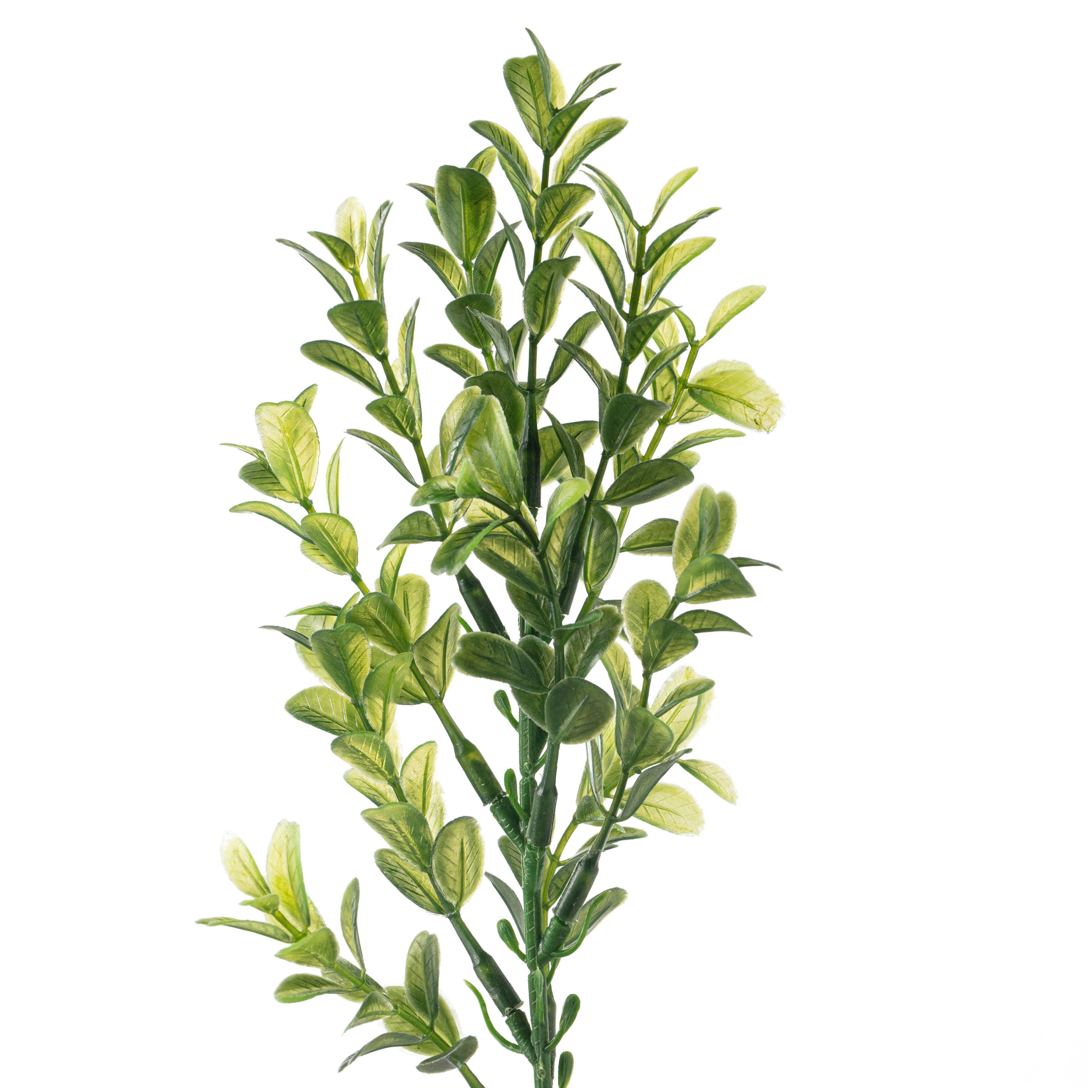 Sweet Grass Stem by Ashland®