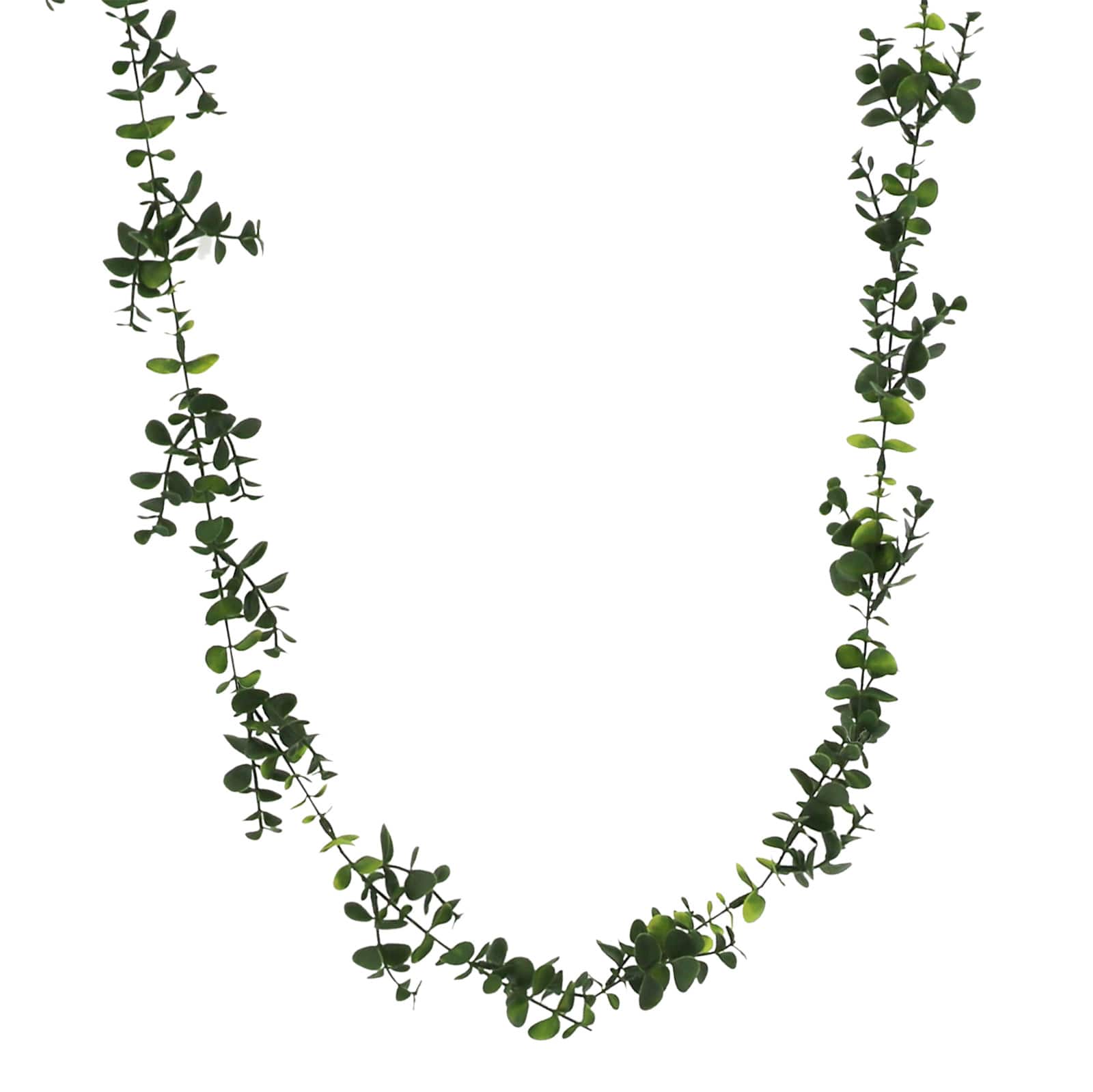 8 Pack: 5ft. Eucalyptus Coiled Garland by Ashland®