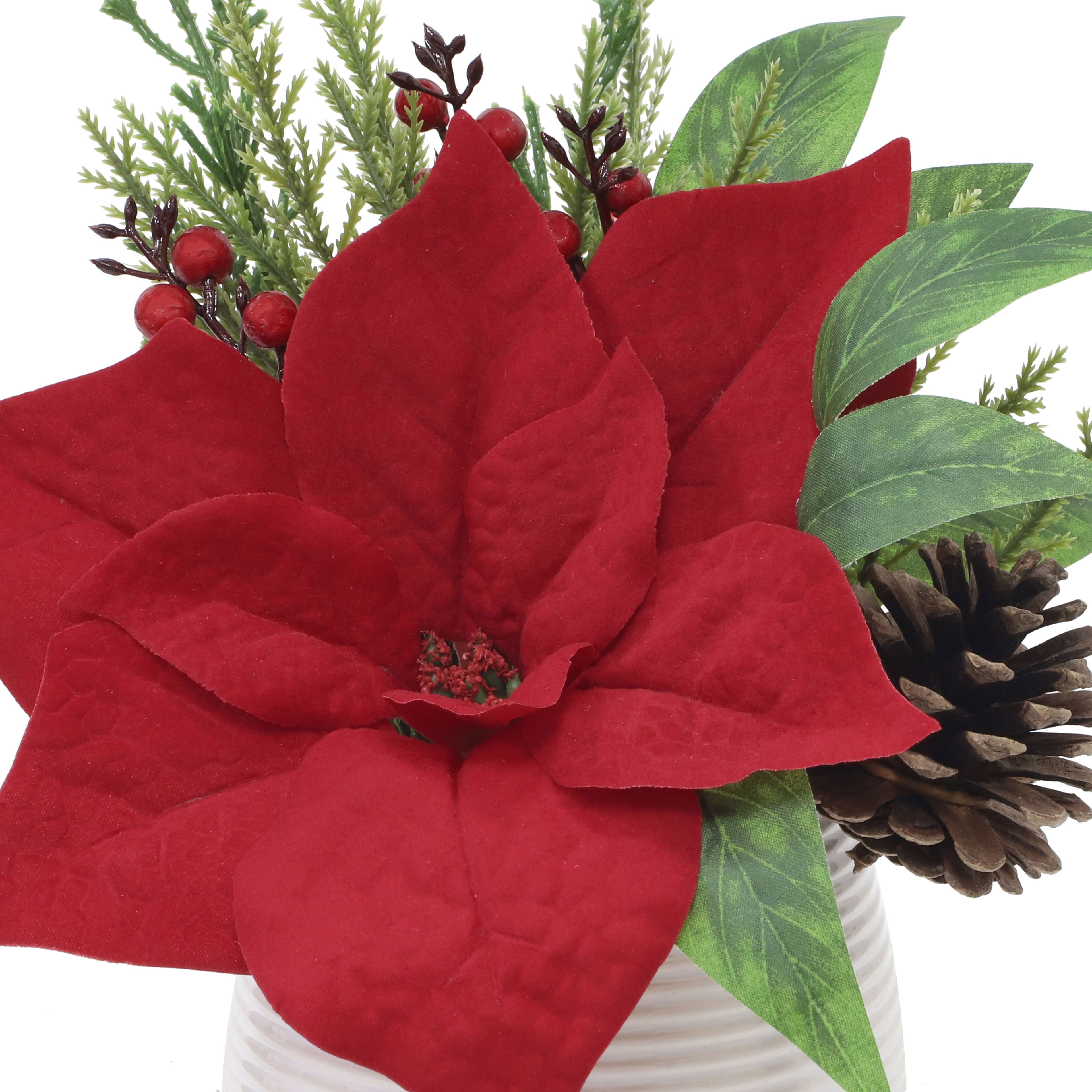 10.5&#x22; Red Poinsettia, Cedar &#x26; Pinecone Arrangement in White Ceramic Pot by Ashland&#xAE;