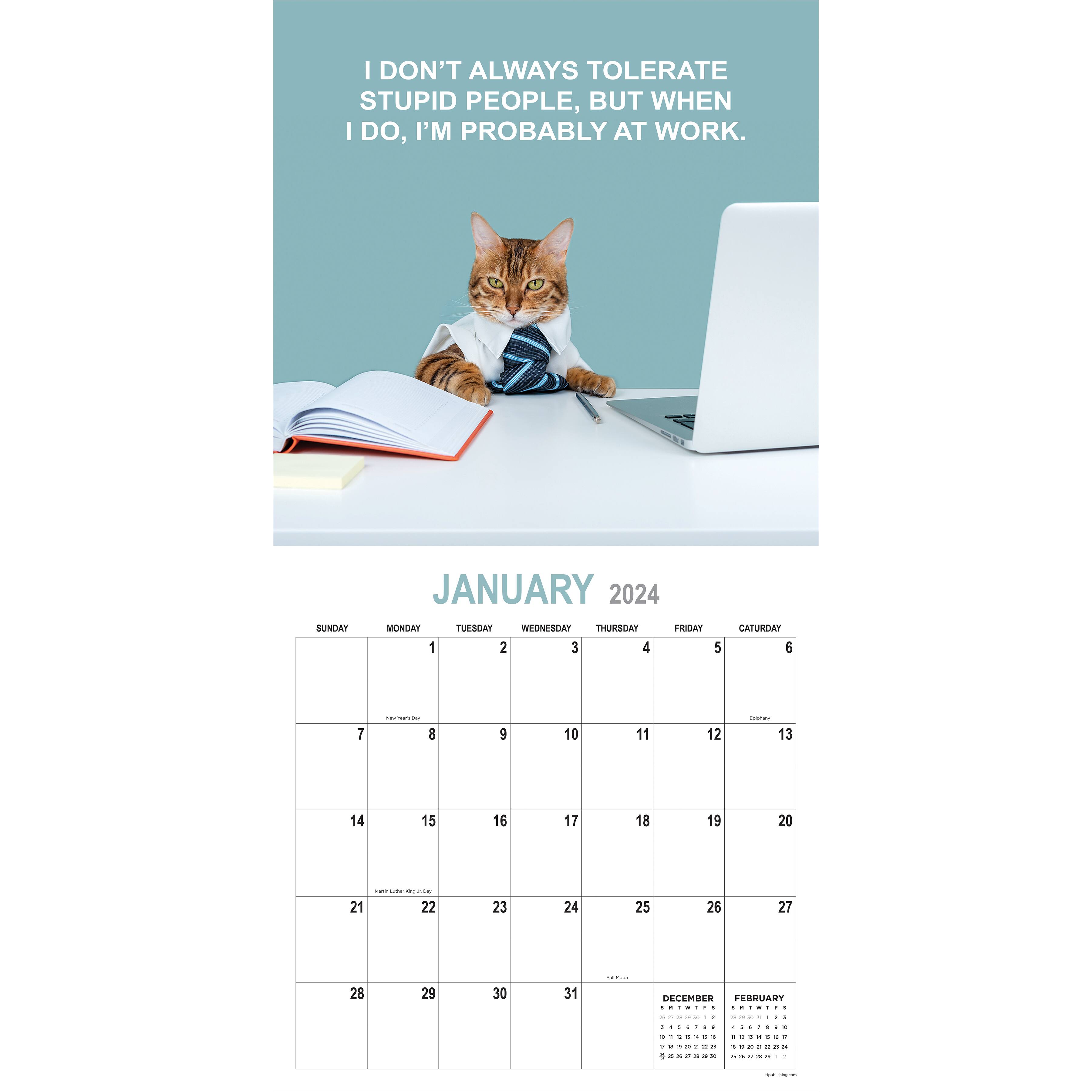 TF Publishing 2024 Corporate Cats Wall Calendar