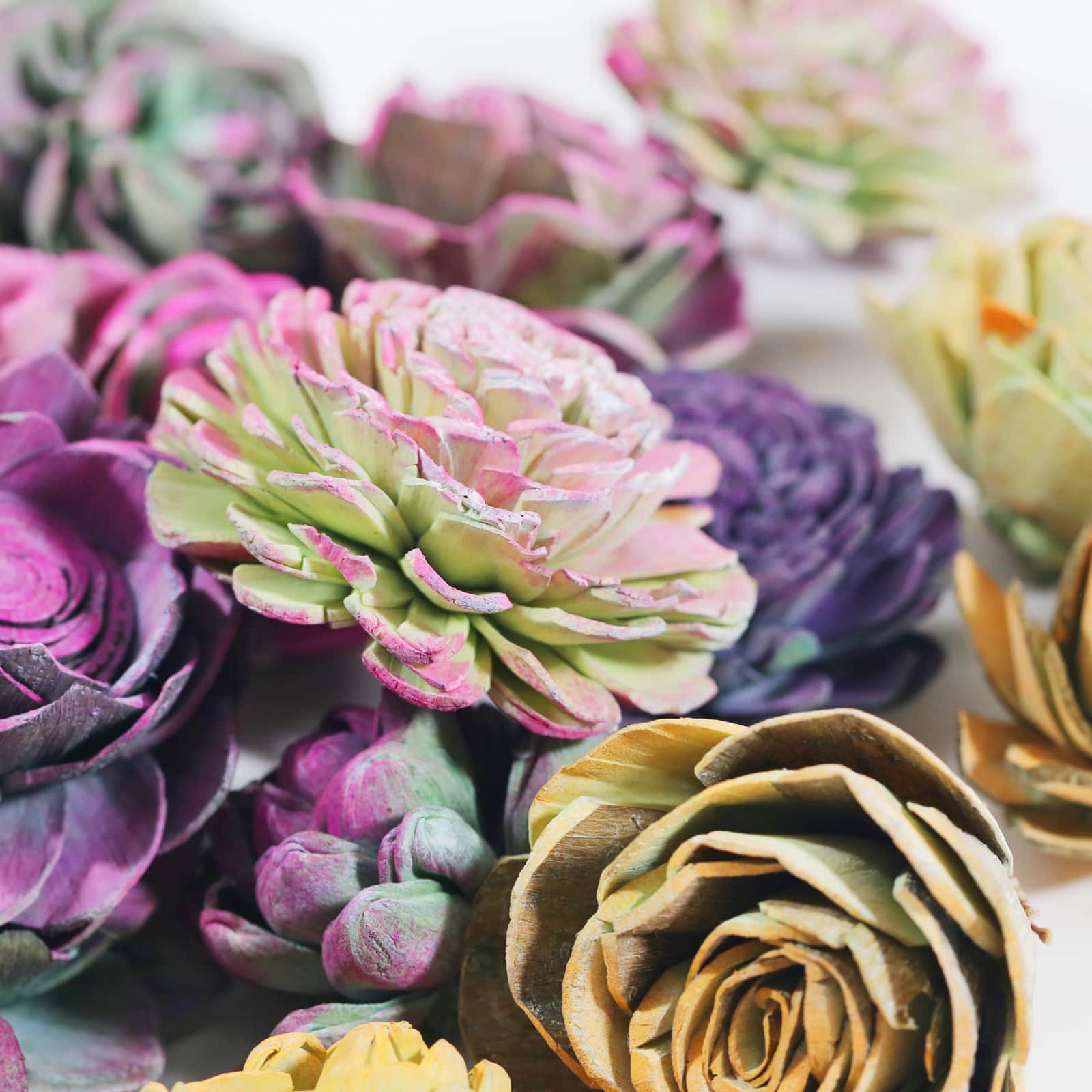 Succulent Bowl Filler by Ashland&#xAE;