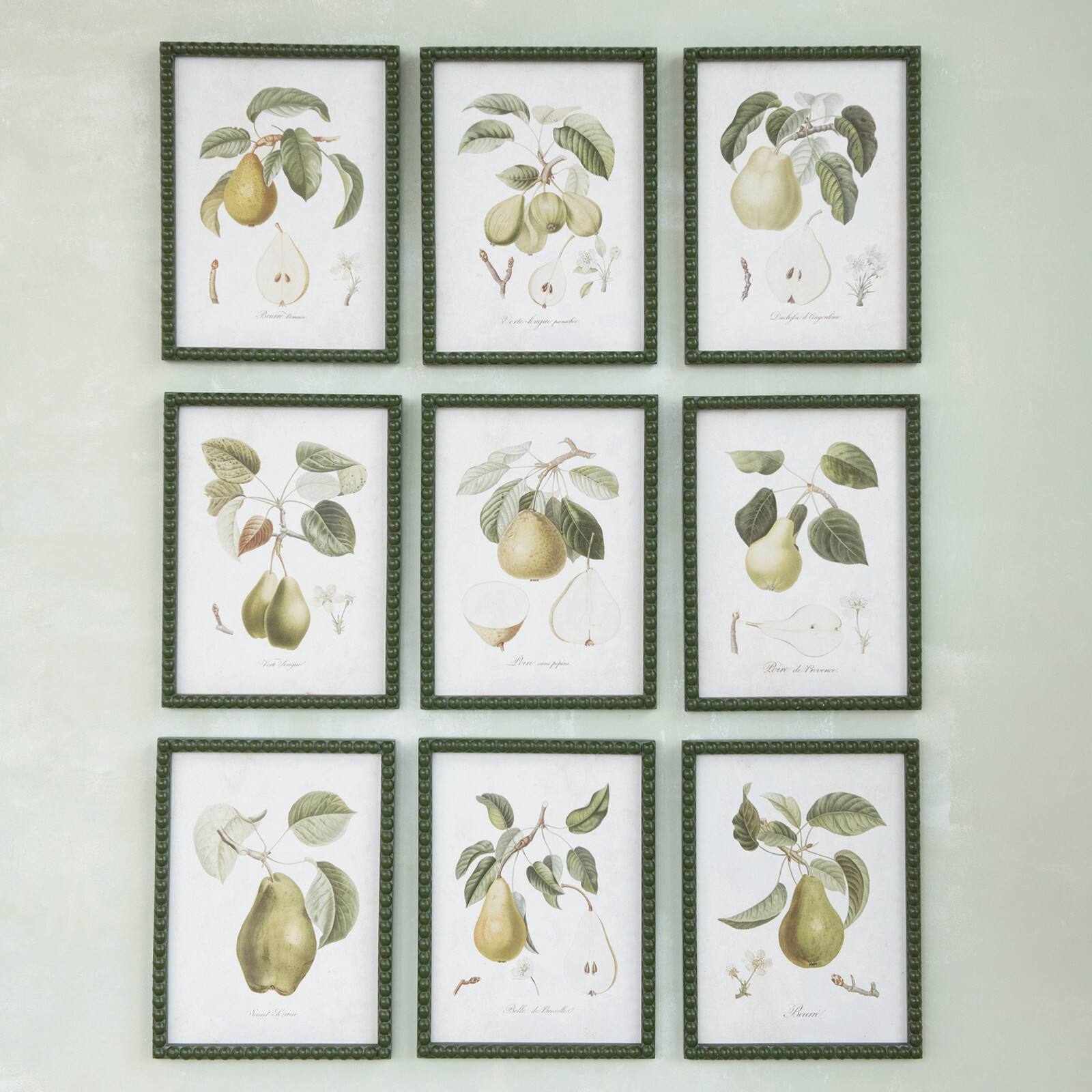 Hello Honey® 11.75" x 15.75" Orchard Essence Pear Print Collection Wall Art Set
