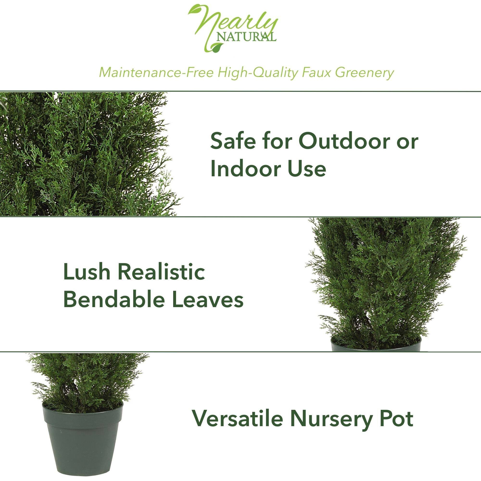 4ft. Potted Cedar Pine Tree